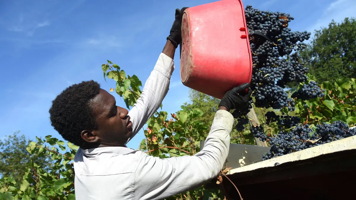 <p class=\"MsoNormal\">Daiano Cristini/Sintesi<o:p></o:p></p>