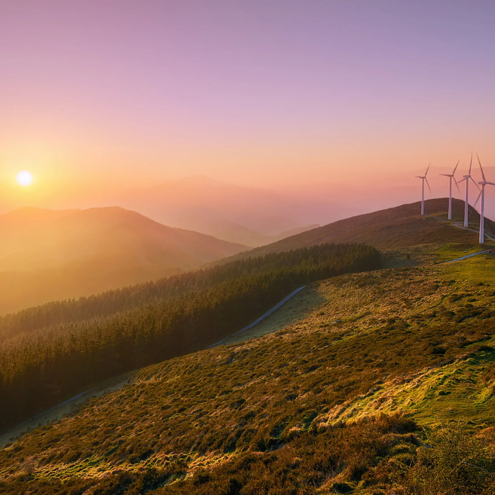 Pacchetto auto: un altro colpo contro il green deal, ma non ci arrendiamo