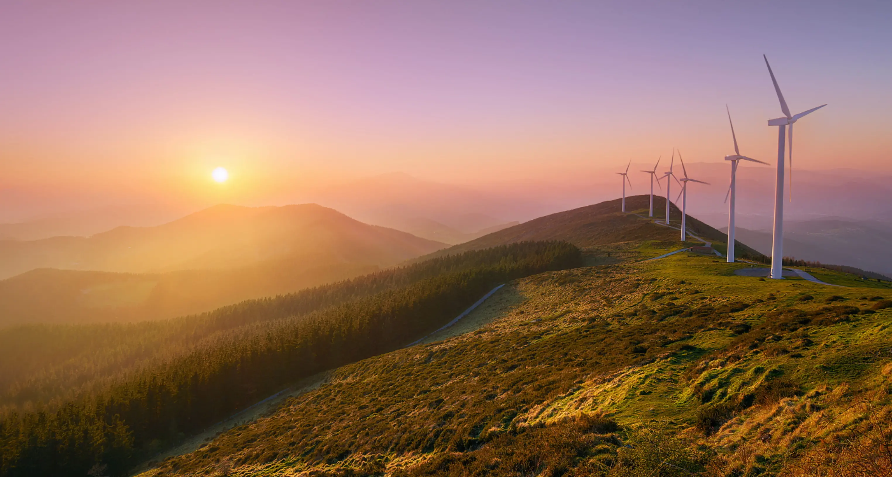 Pacchetto auto: un altro colpo contro il green deal, ma non ci arrendiamo