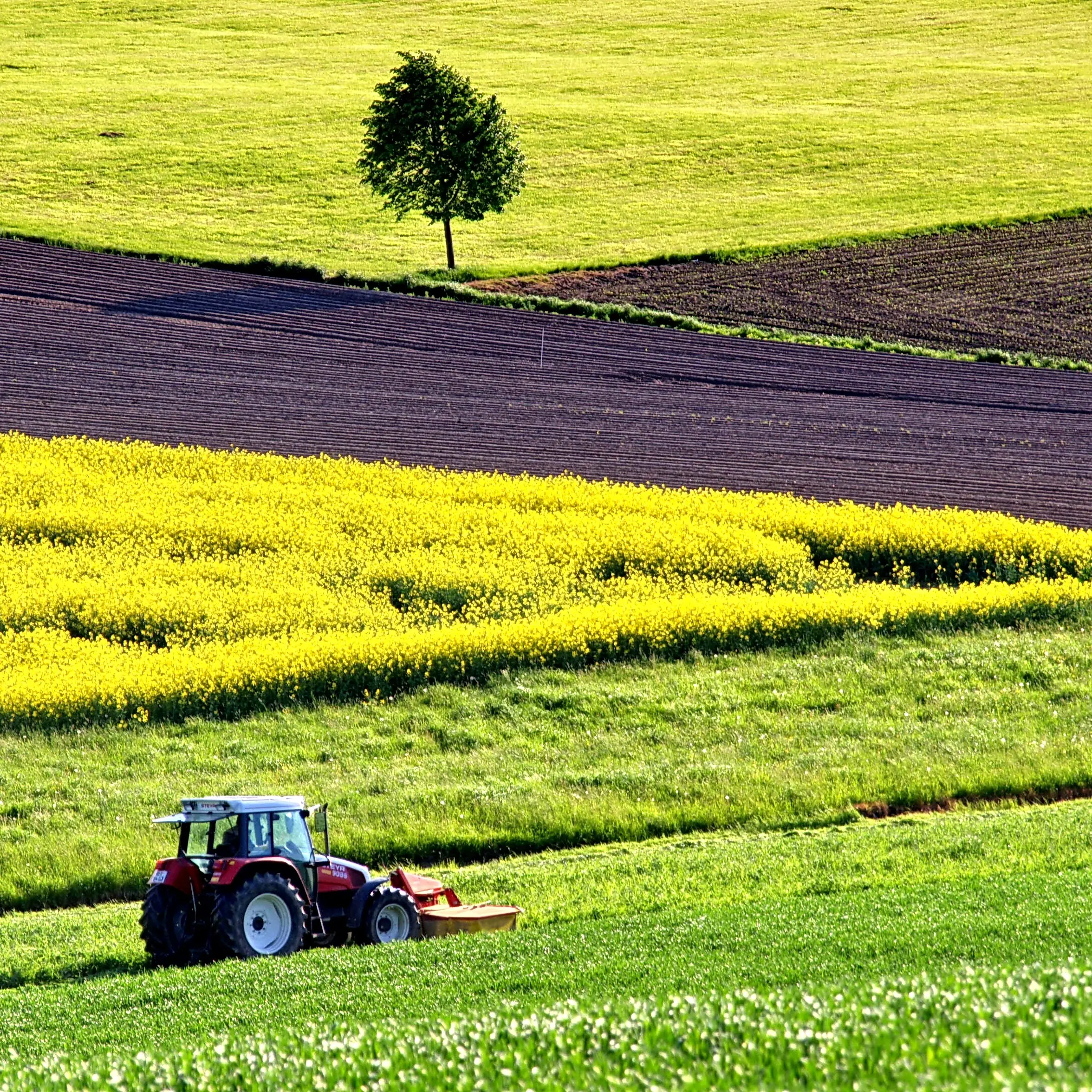 Politica agricola, l’Europa fa passi indietro