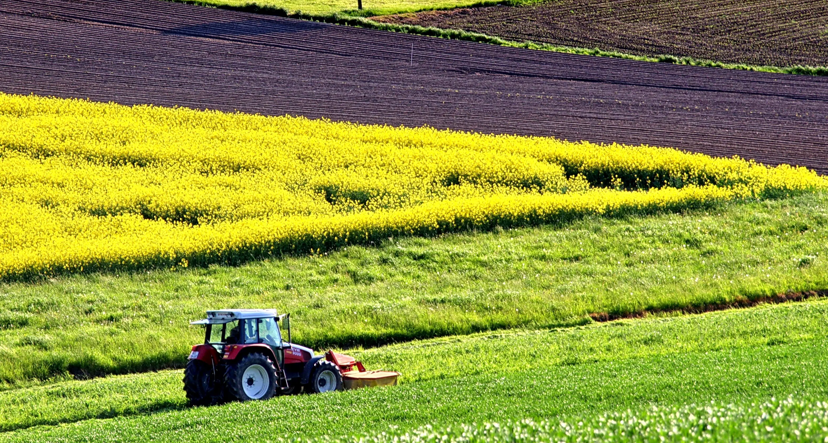 Politica agricola, l’Europa fa passi indietro