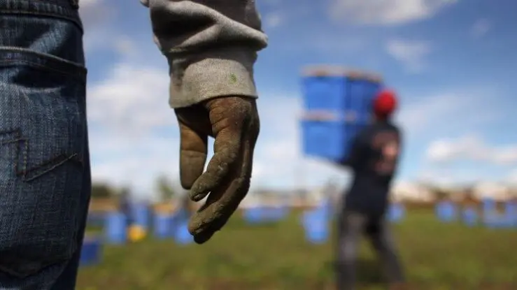 La Flai Cgil Veneto scopre 13 braccianti in semi schiavitù