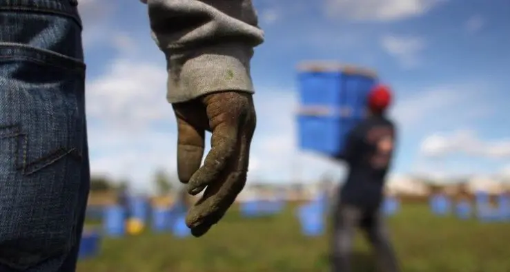 La Flai Cgil Veneto scopre 13 braccianti in semi schiavitù