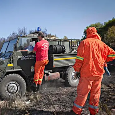 Ostuni, agricoltore schiacciato da un albero. Era prossimo alla pensione