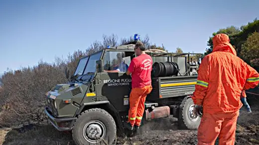 Ostuni, agricoltore schiacciato da un albero. Era prossimo alla pensione