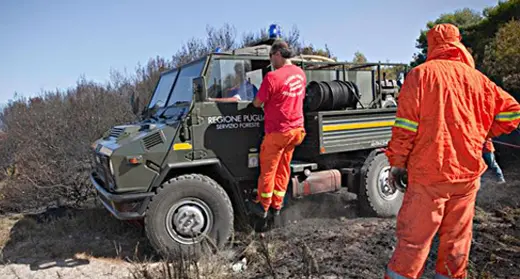 Ostuni, agricoltore schiacciato da un albero. Era prossimo alla pensione