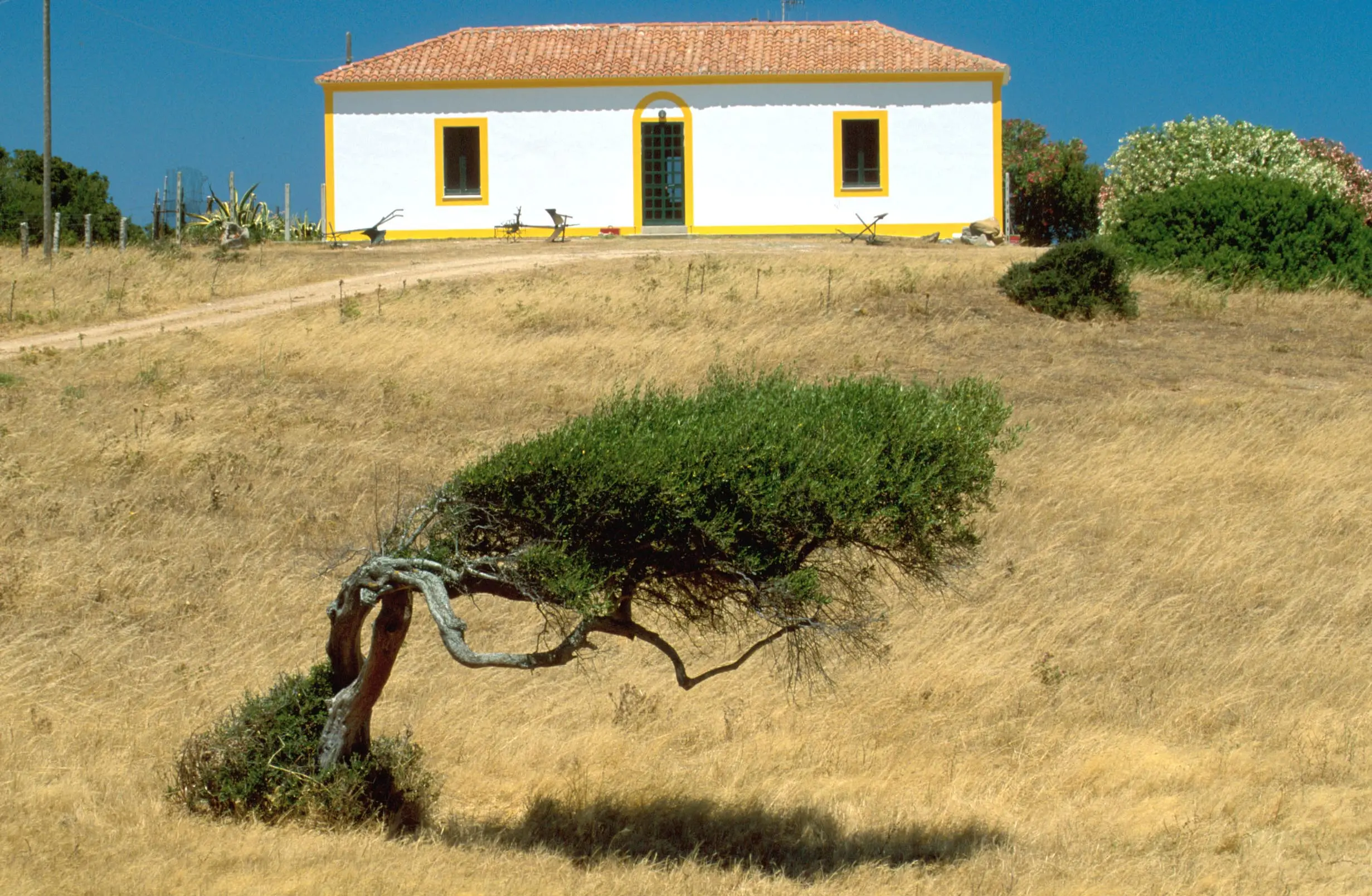 SARDEGNA : GALLURA FOTO DI © DARIO FUSARO/SINTESI