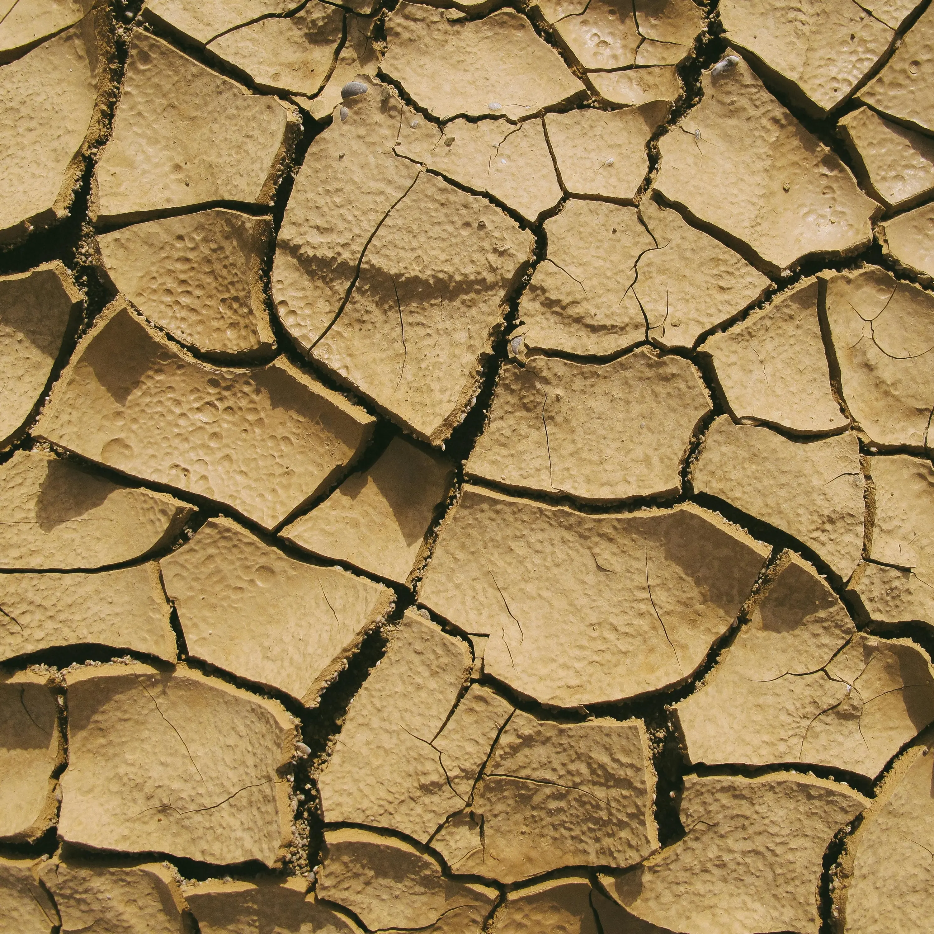 A Potenza acqua dispersa e cittadini a secco