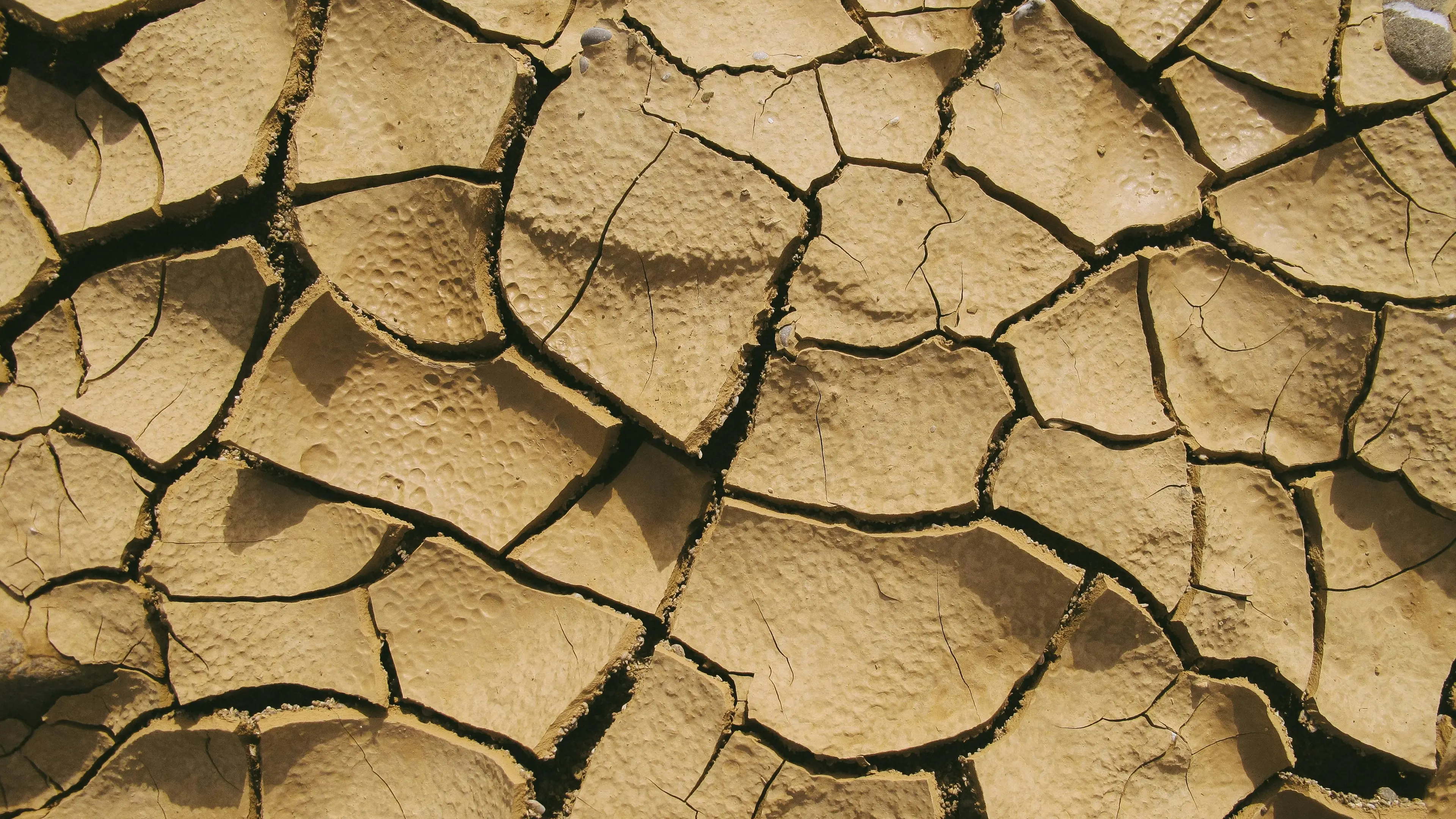 A Potenza acqua dispersa e cittadini a secco