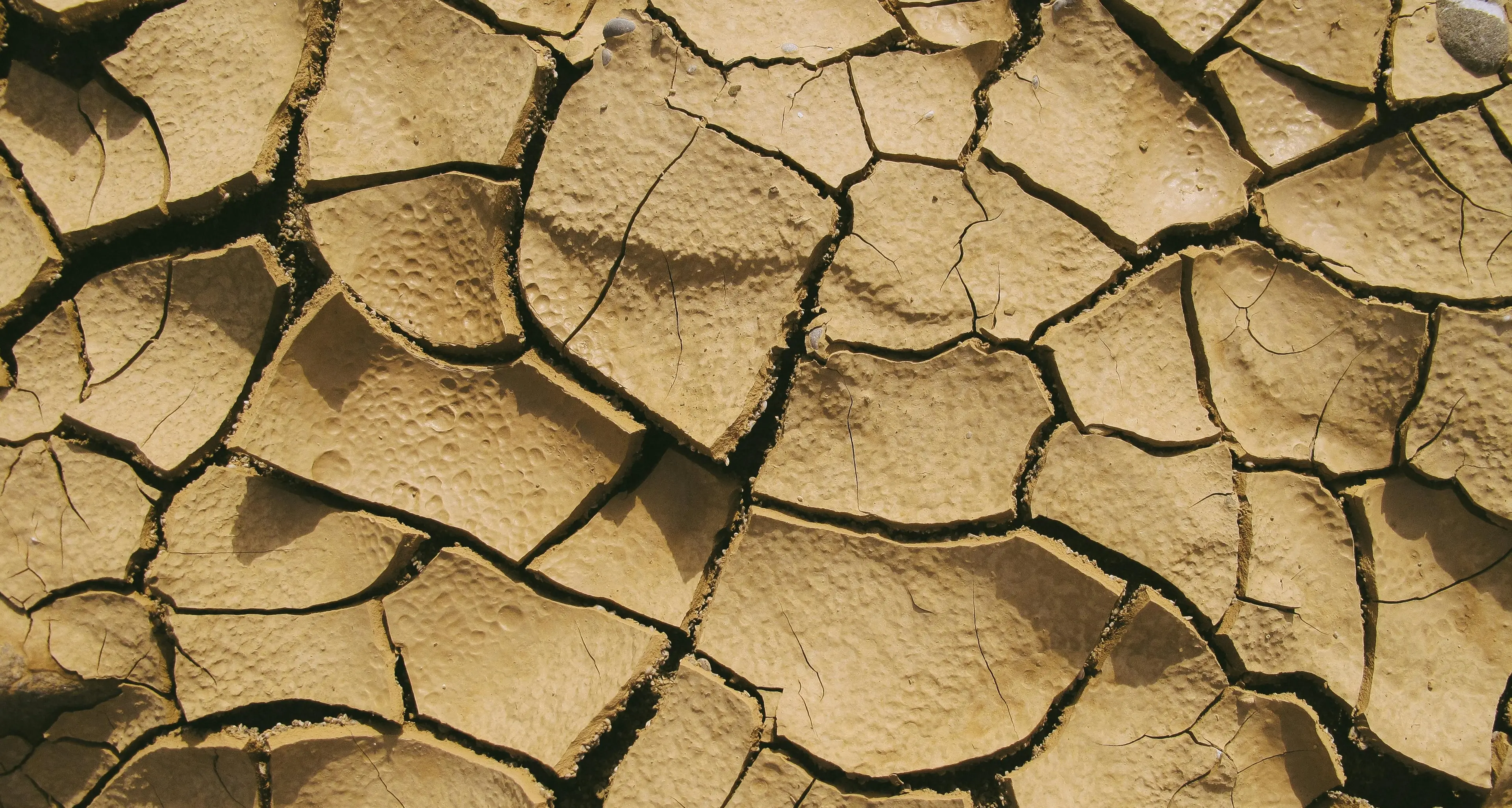 A Potenza acqua dispersa e cittadini a secco