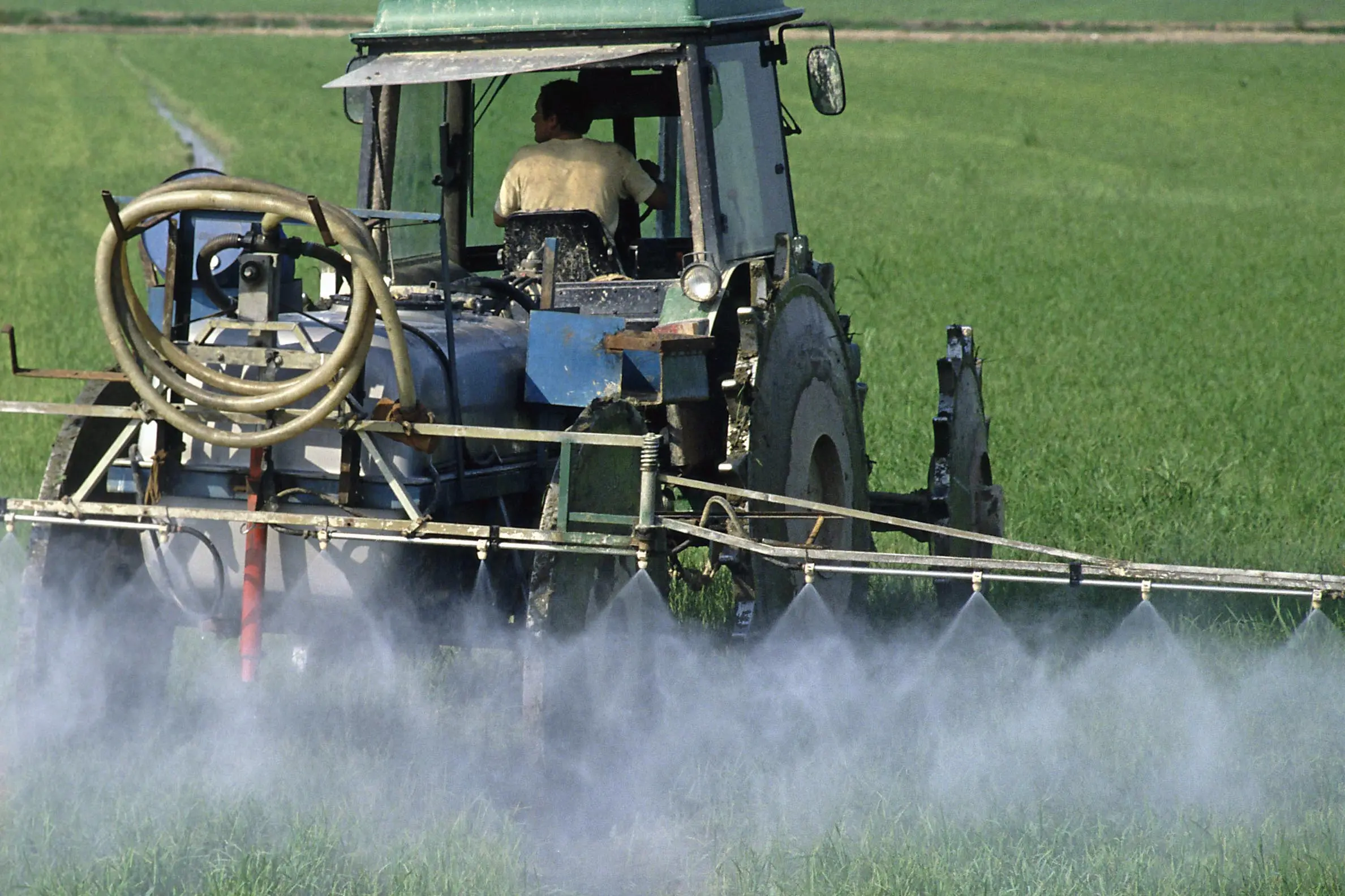 IRRORAZIONE DI PESTICIDI SU RISAIA CON TRATTORE FOTO DI © ROBERTO SACCO/AG.SINTESI FARMER SPRAYING PESTICIDE ON RICE PADDIES