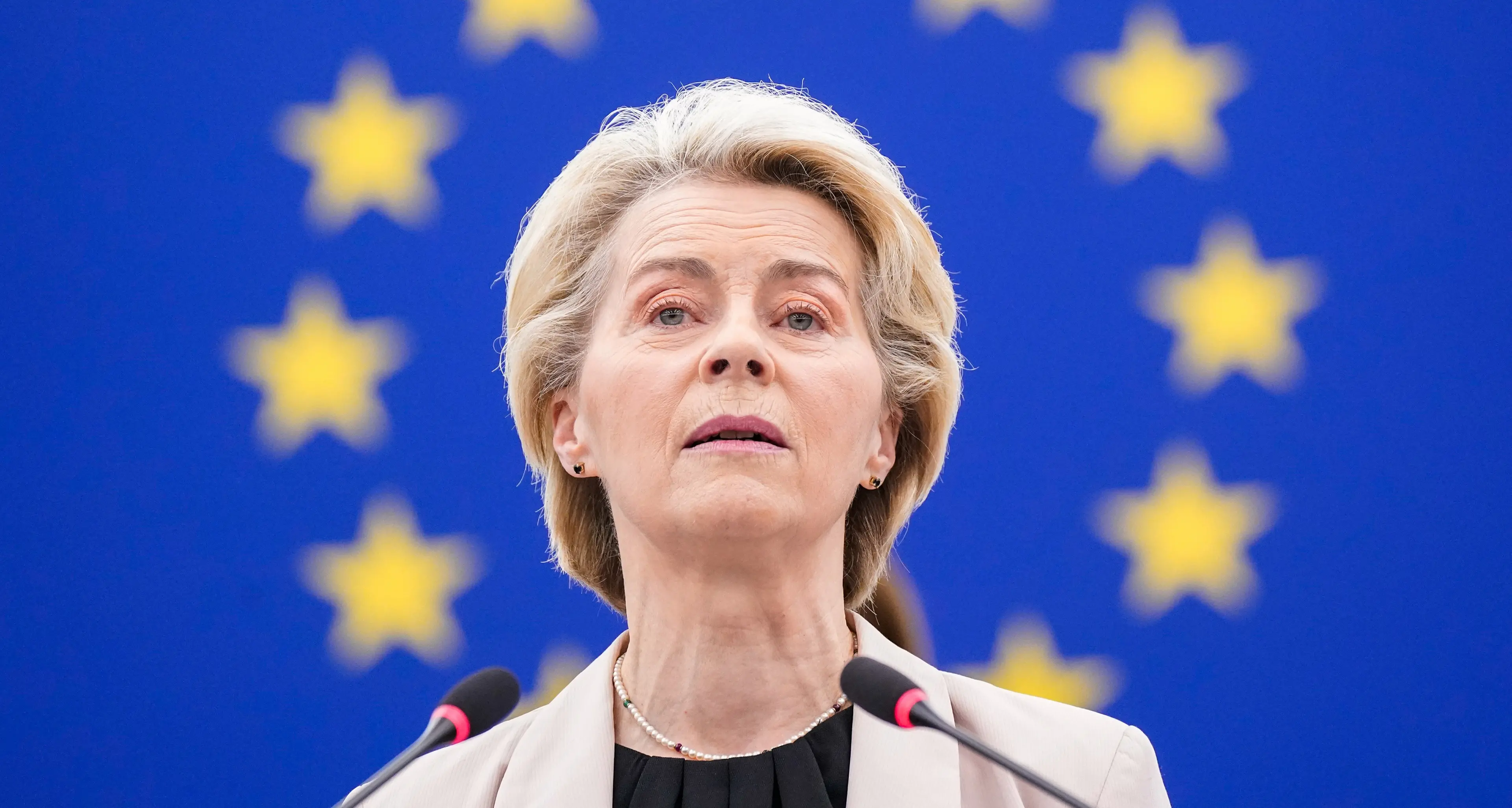 Accordo Ue-Mercosur, Von der Leyen sbaglia (ancora) mercato