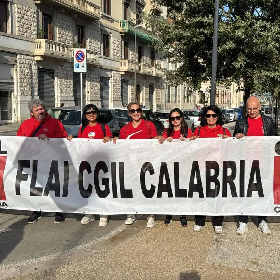 Calabria, settore forestale: dopo 13 anni siglata l’ipotesi di rinnovo dell’integrativo