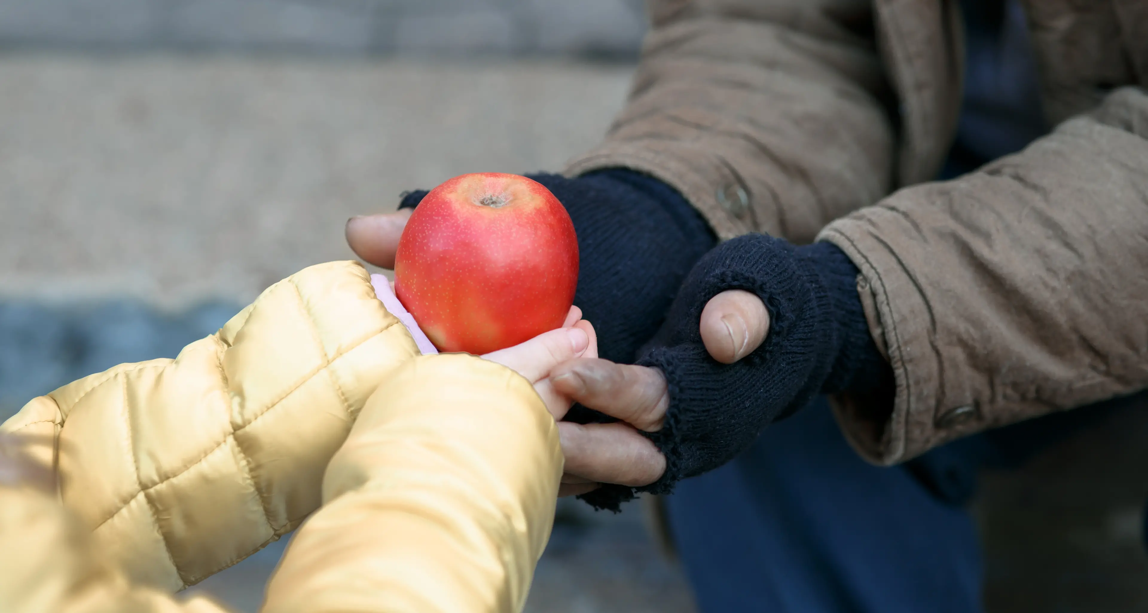 Lo dice l’Istat: aumenta povertà e diseguaglianza