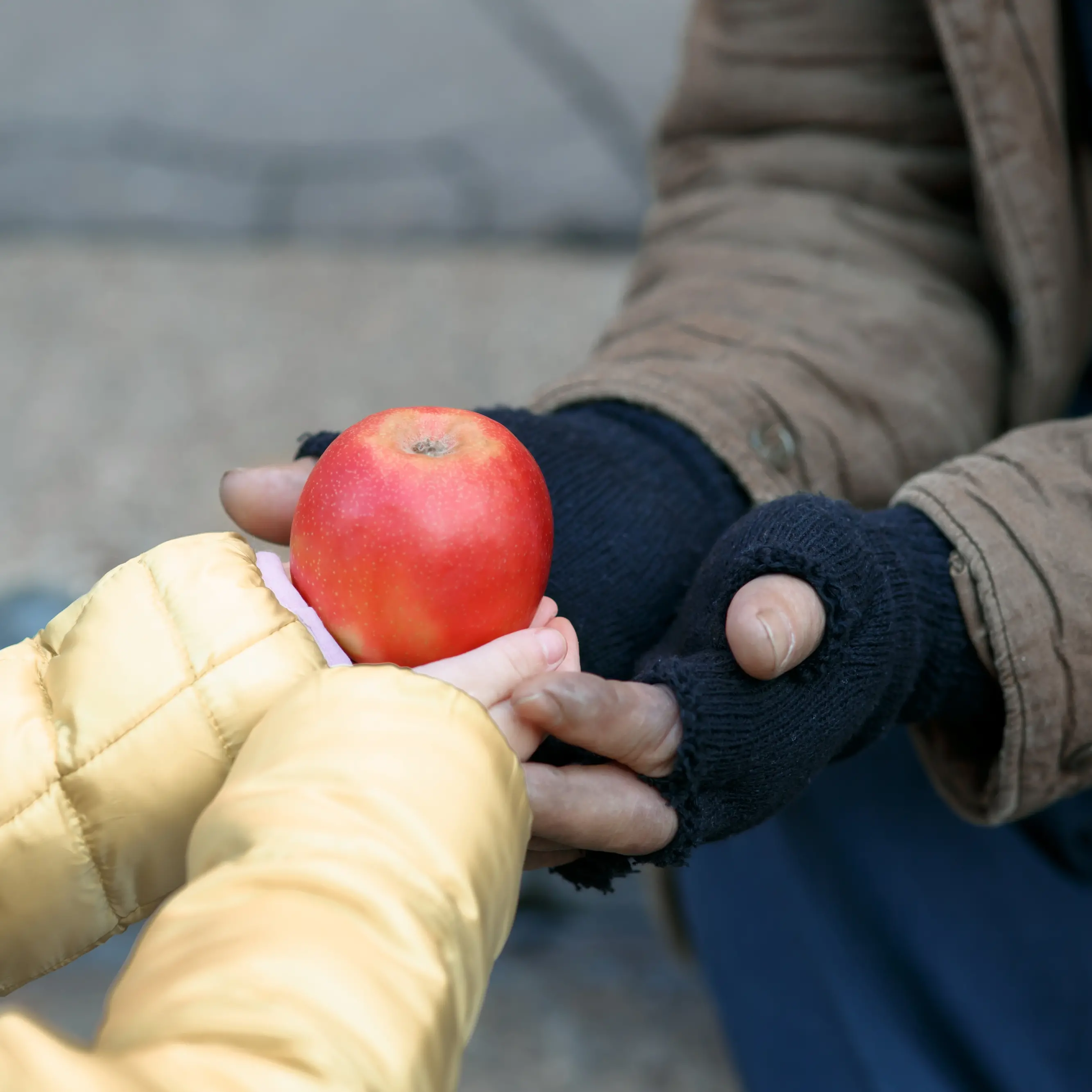 Lo dice l’Istat: aumenta povertà e diseguaglianza