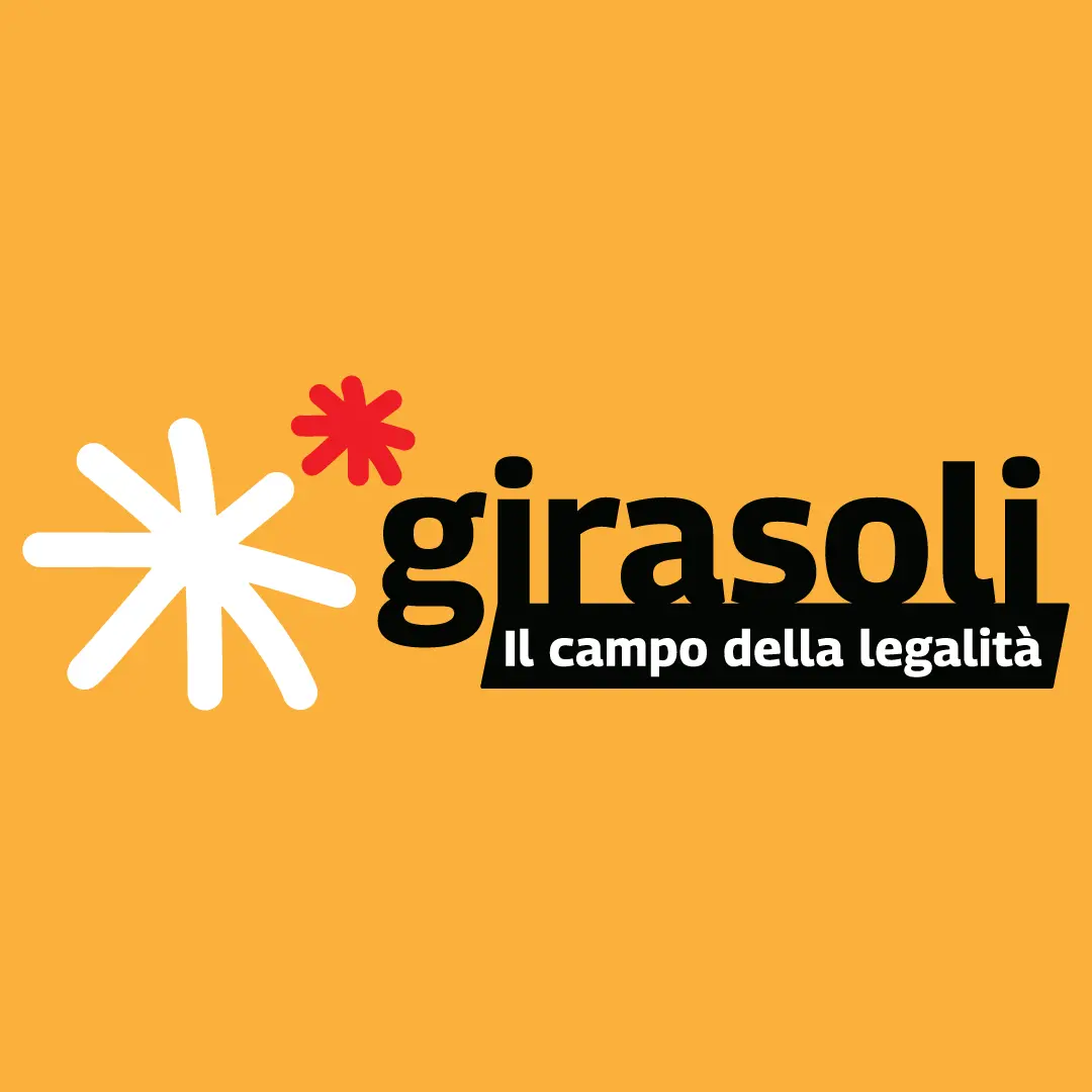 Tanti girasoli controvento