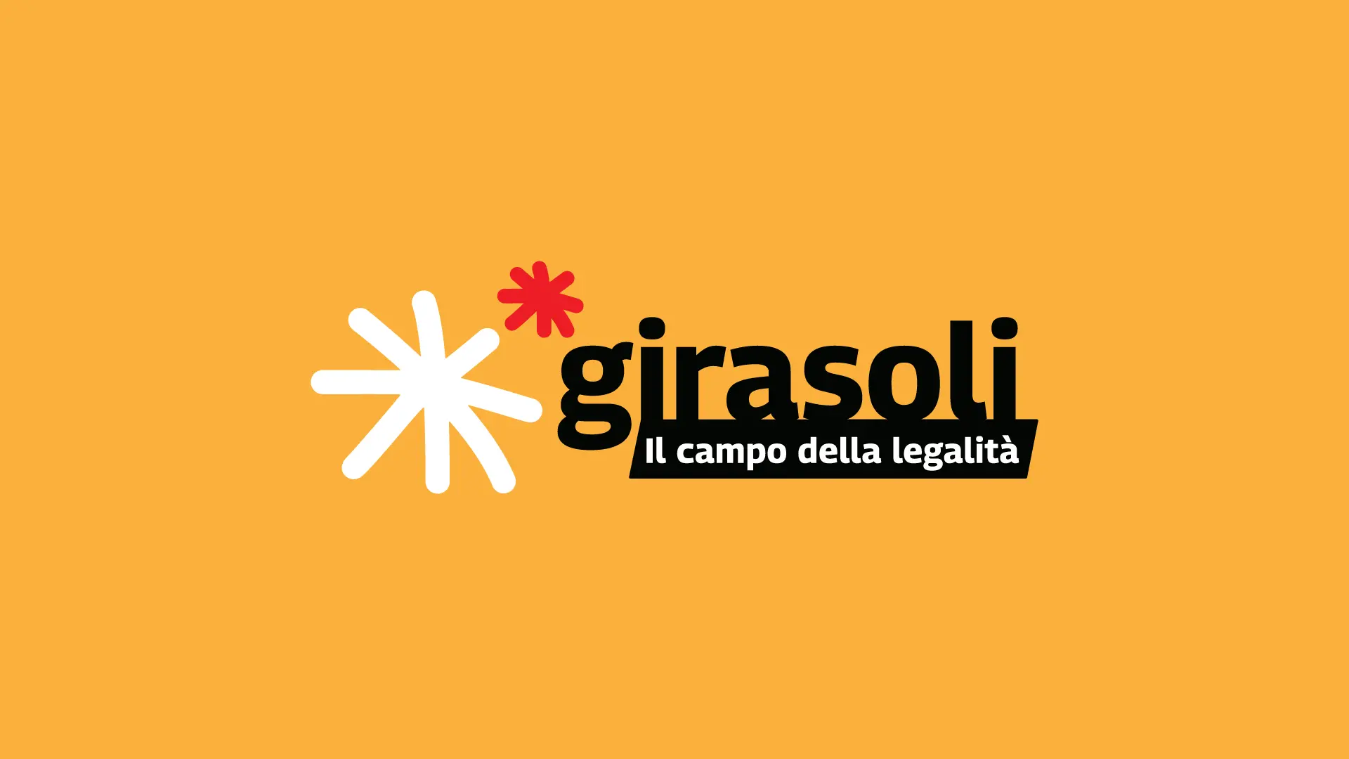 Tanti girasoli controvento