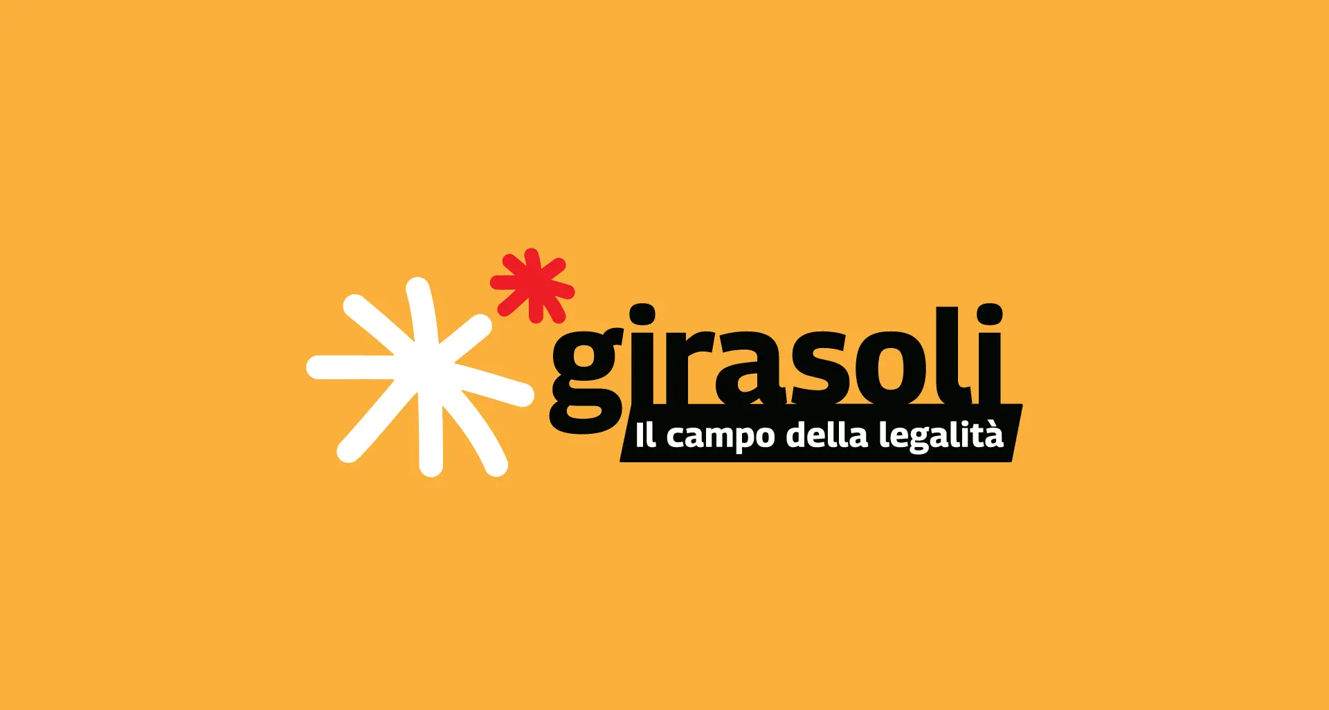 Tanti girasoli controvento