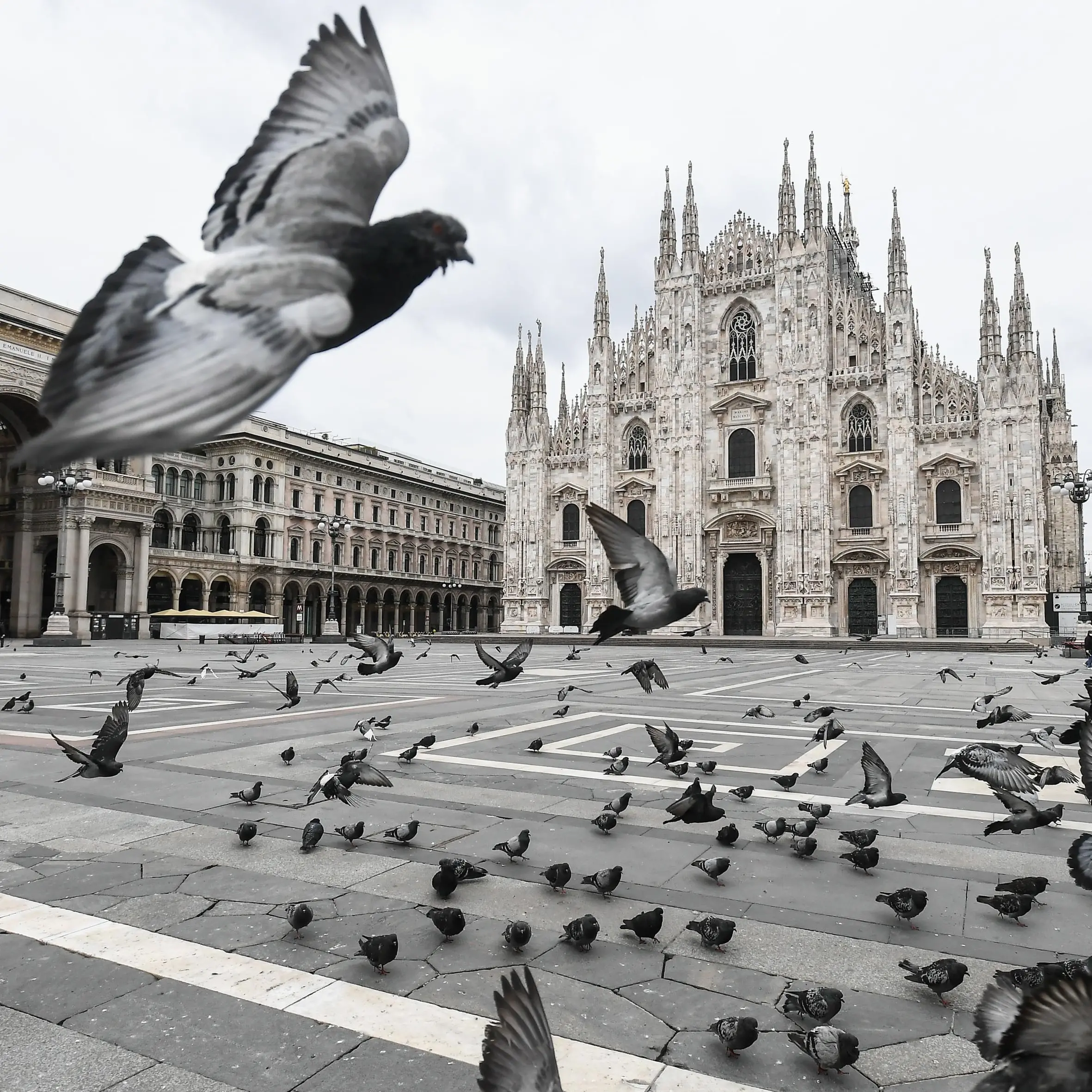 “Come tornare a casa sana e salva”, un esperimento di video arte