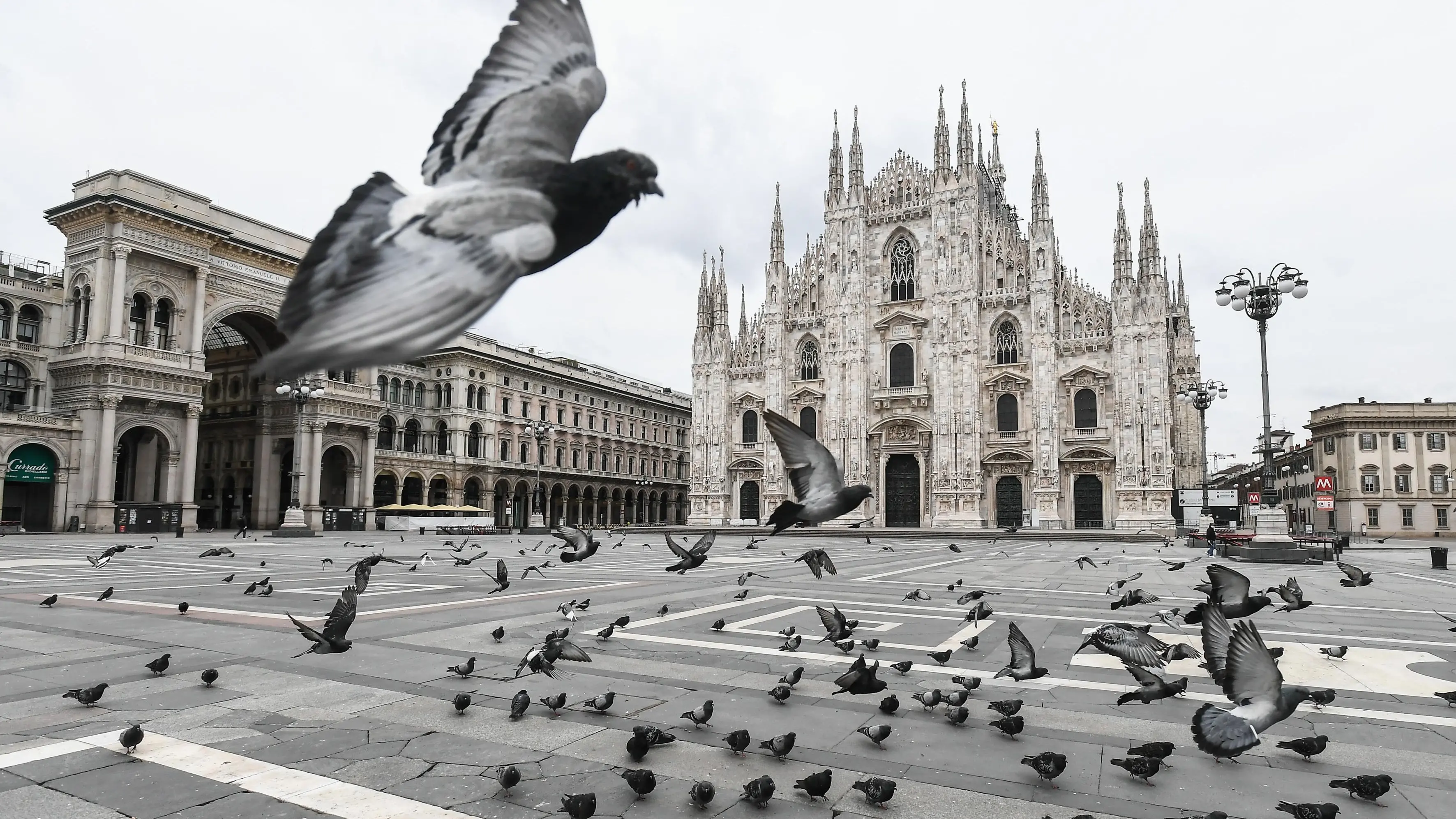 come sopravvivere a milano arte