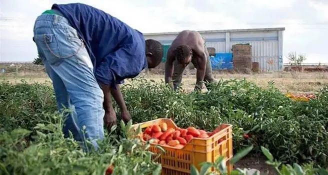 Lo sfruttamento del lavoro non muore mai