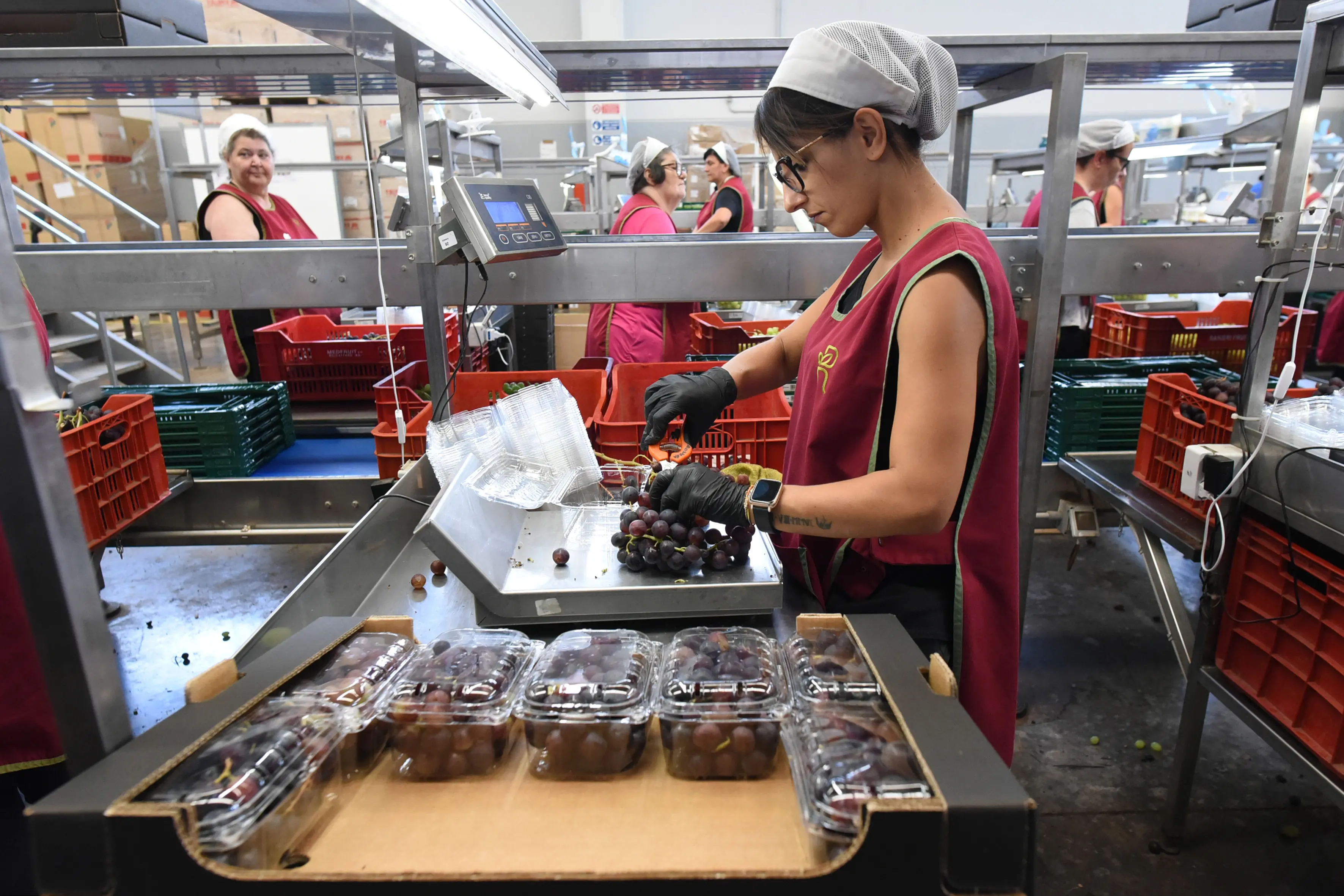 Parità salariale, il governo peggiora la direttiva Ue