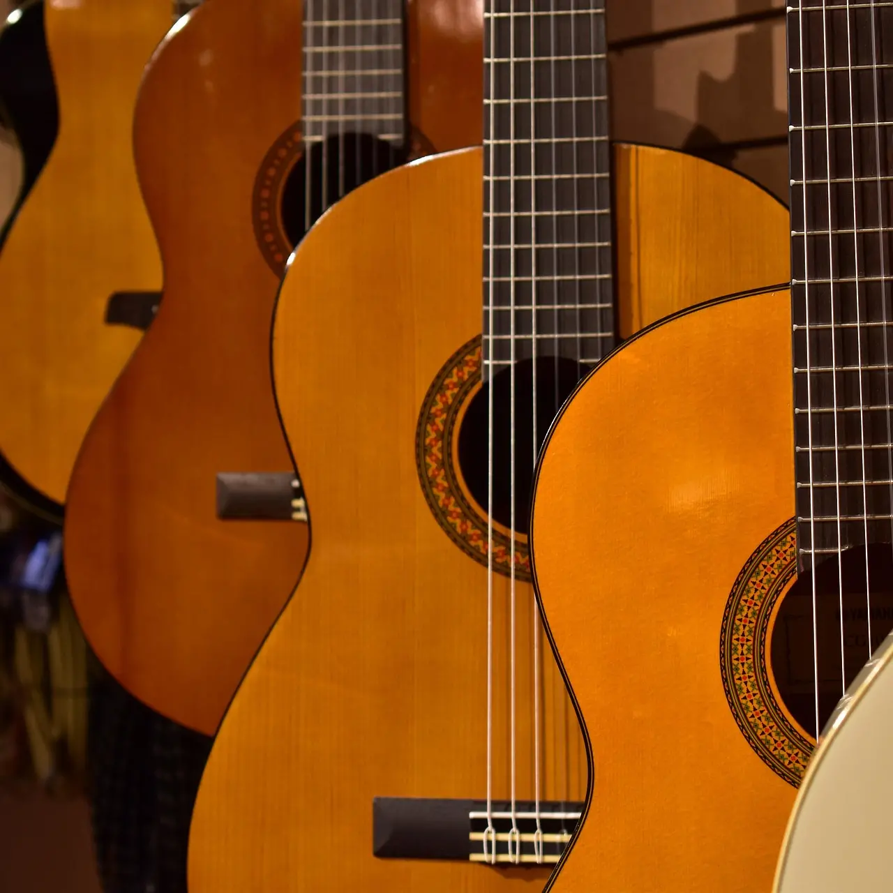 Musica, plurale femminile?