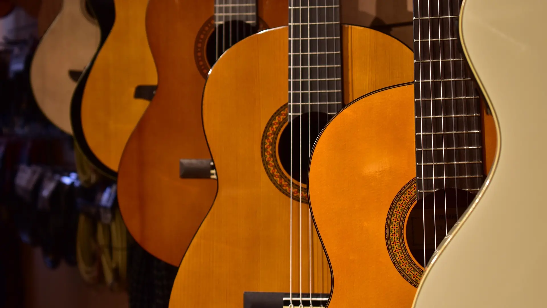 Musica, plurale femminile?