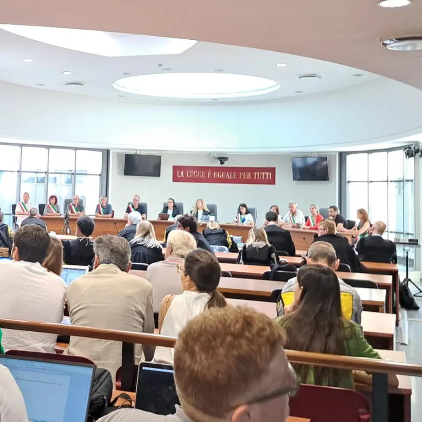 Sentenza storica sul caso Pfas: “Chi inquina paga”