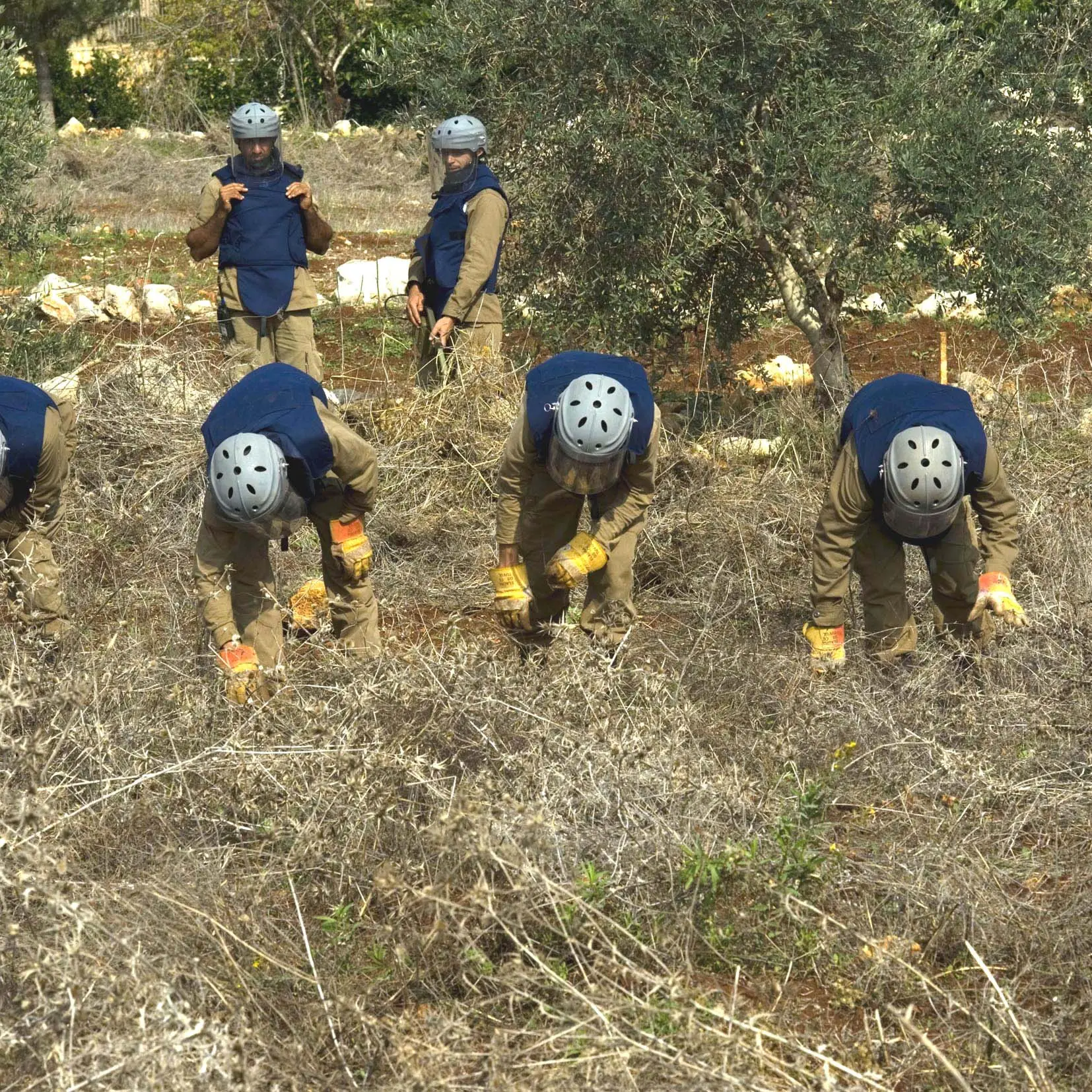 Mine antiuomo: follia uscire dal trattato che le vieta