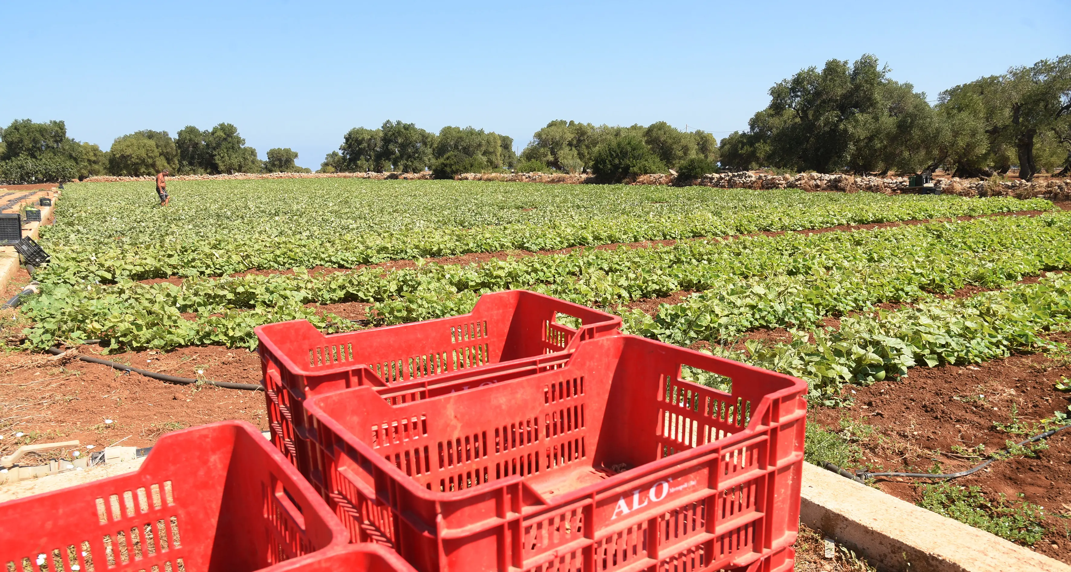 Anche in Veneto arriva l’ordinanza contro il caldo grazie al pressing dei sindacati