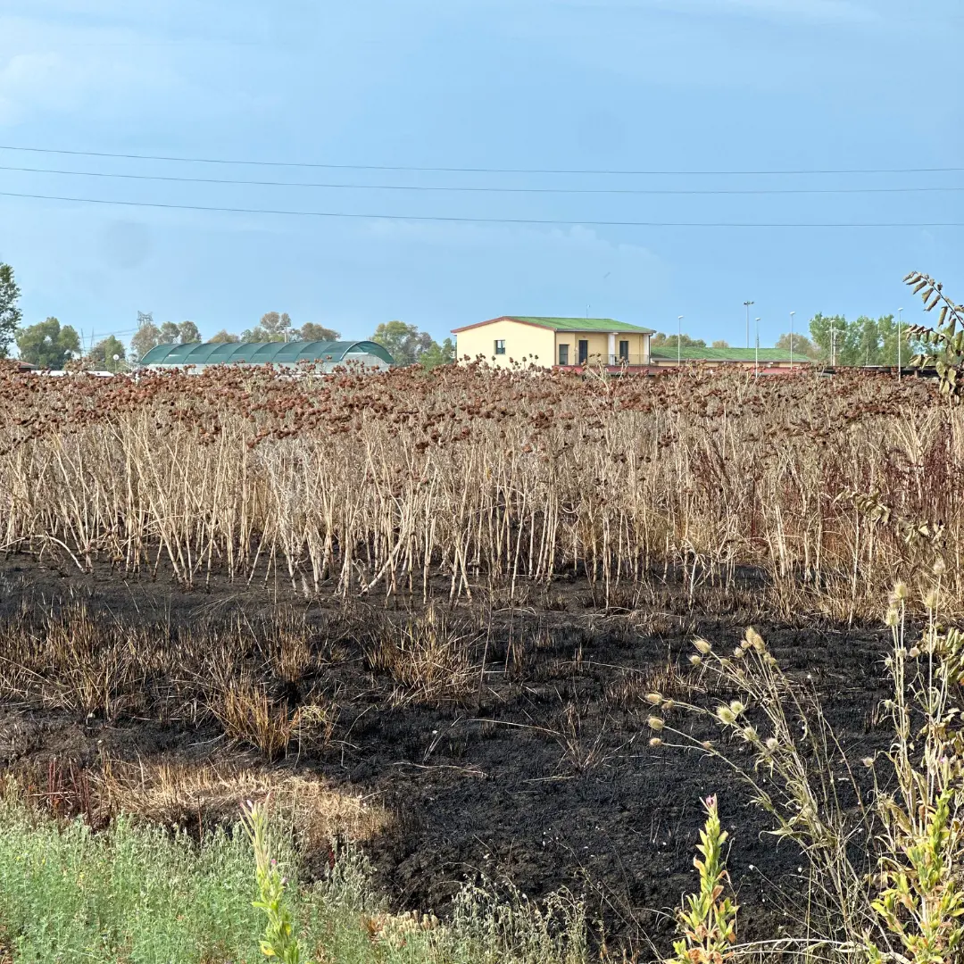 Sicilia: beni confiscati sotto attacco