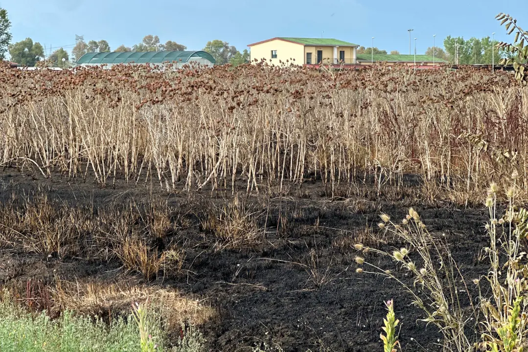 Sicilia: beni confiscati sotto attacco