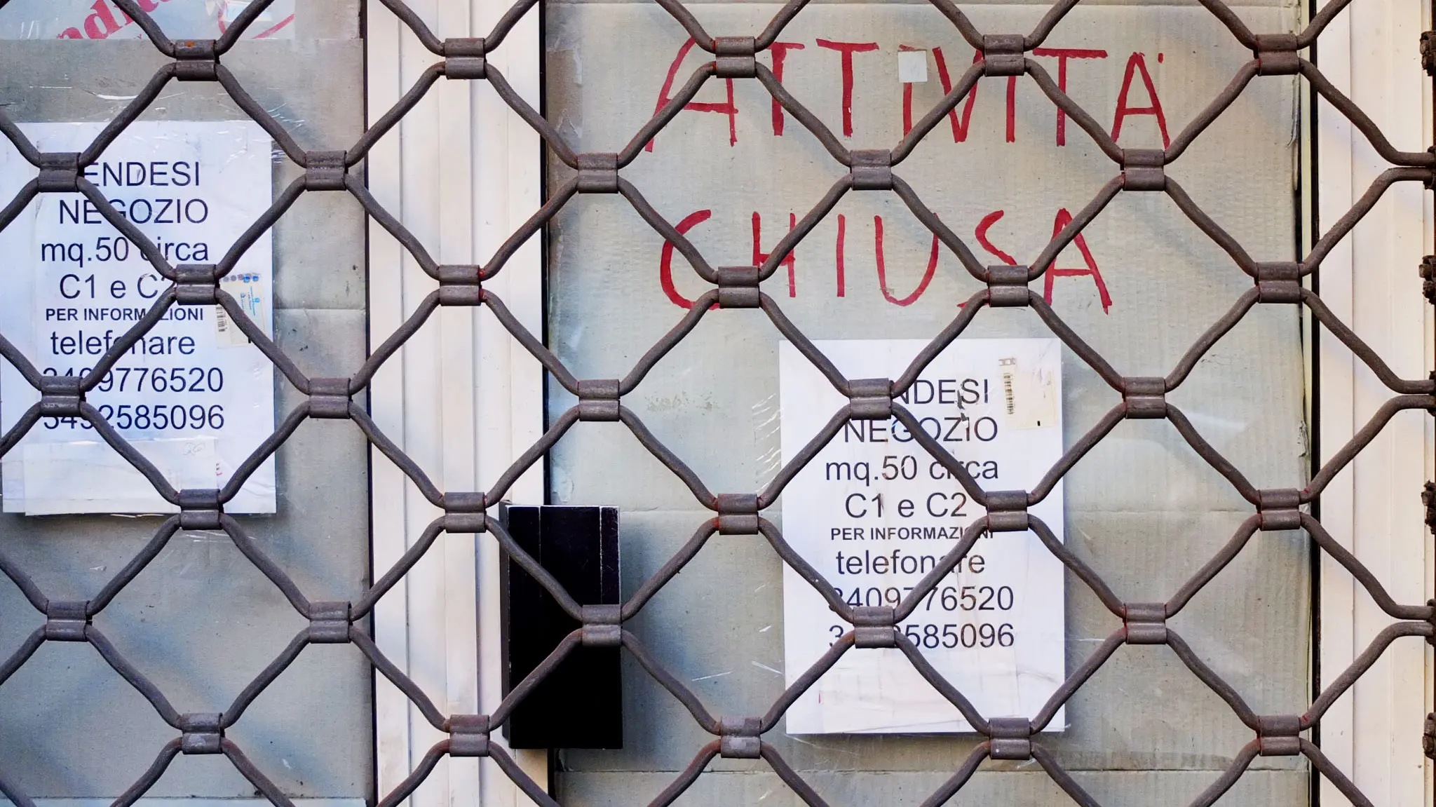 Danilo Balducci/Ag.Sintesi