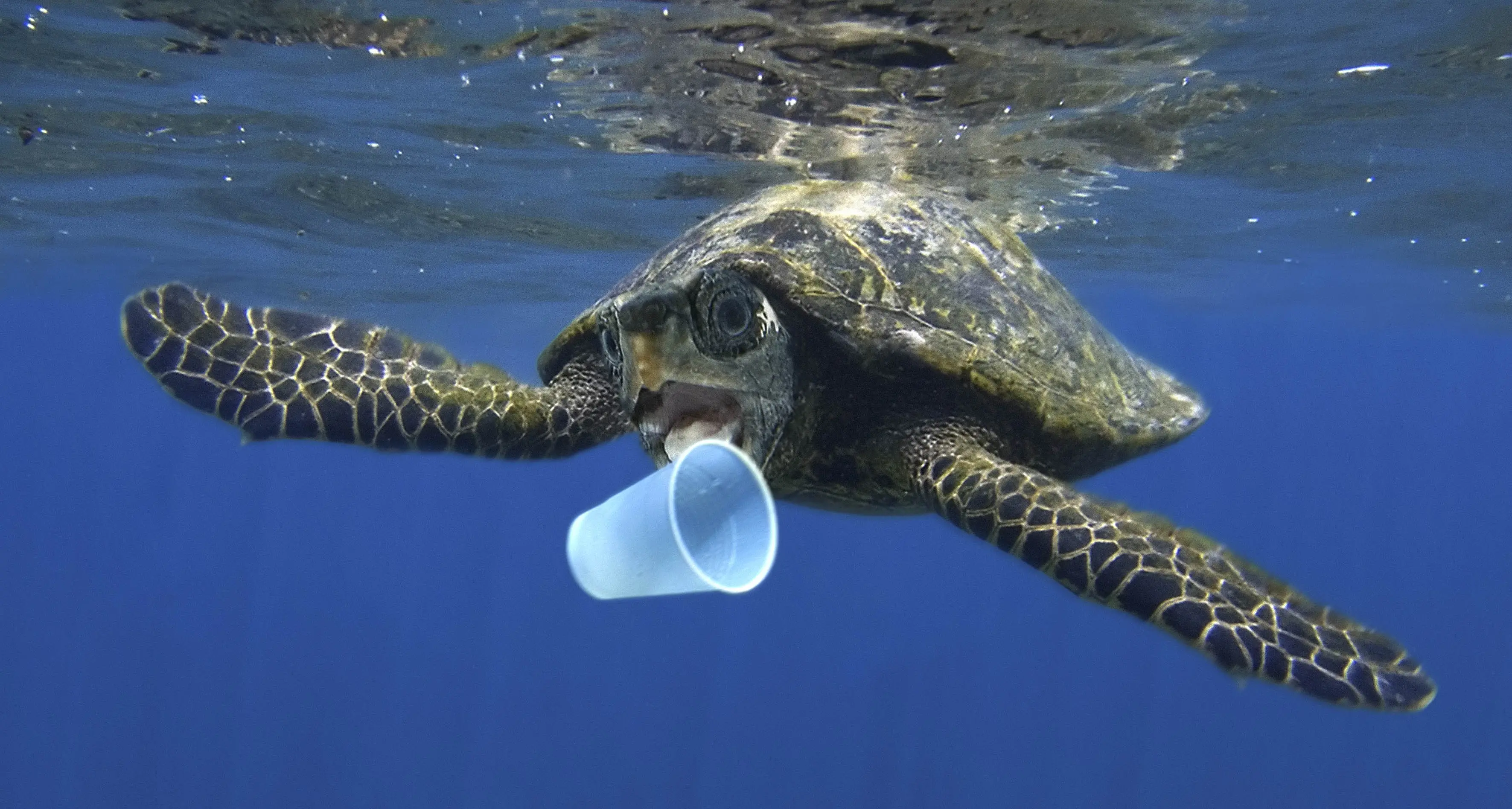 Trattato anti-plastica, nulla di fatto
