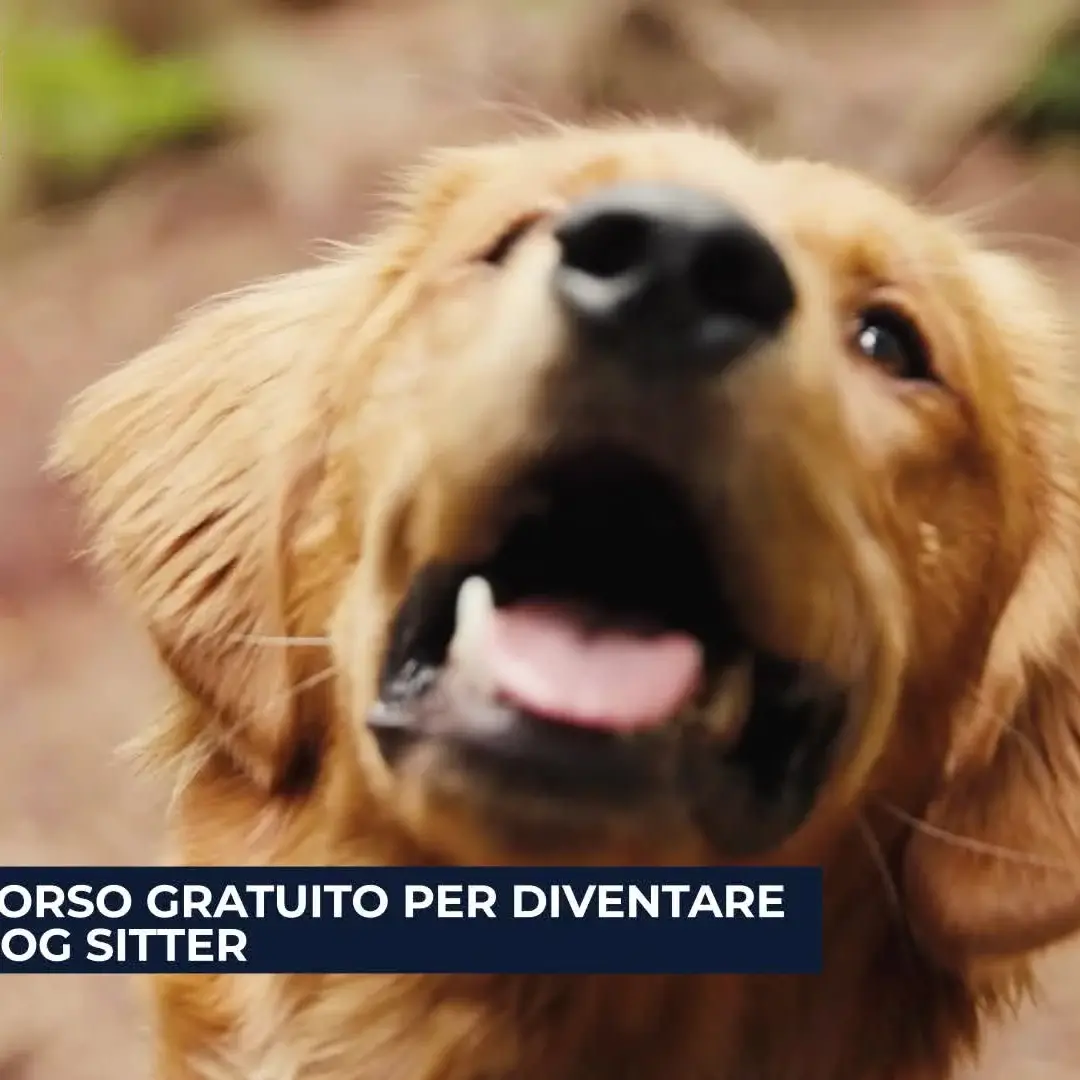 L’Italia nel Lavoro – Stagione 2 Puntata 11