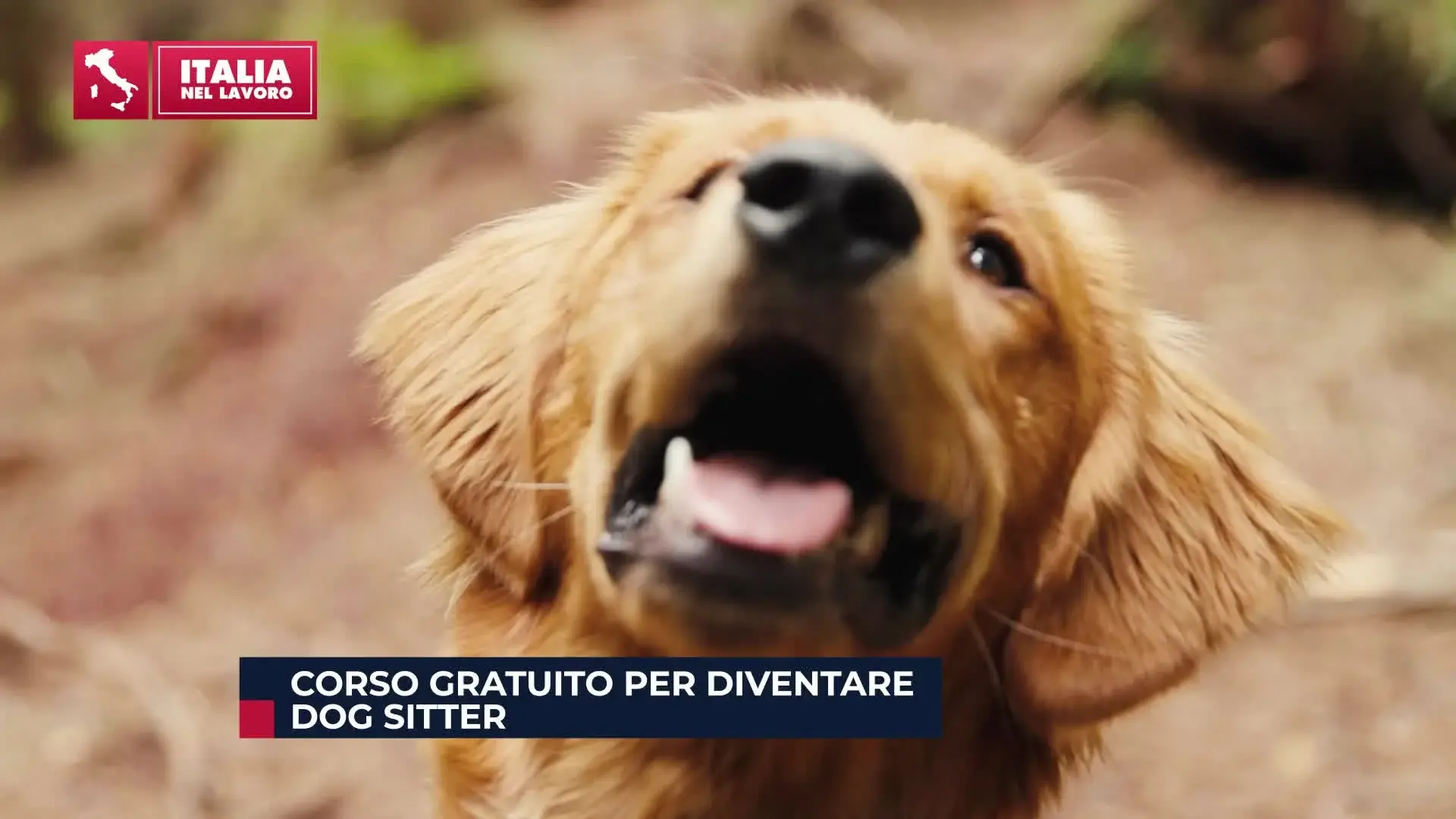 L’Italia nel Lavoro – Stagione 2 Puntata 11