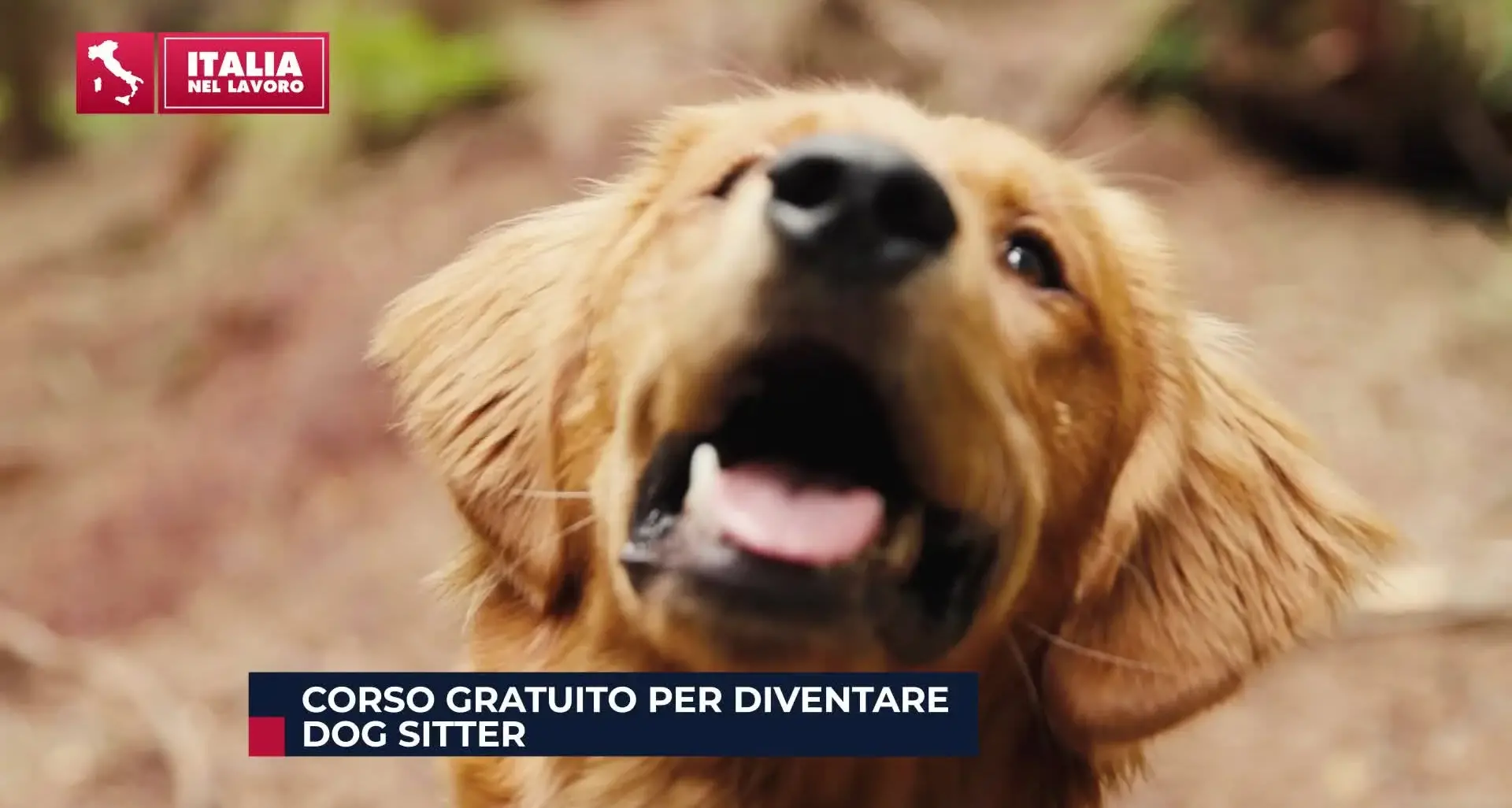 L’Italia nel Lavoro – Stagione 2 Puntata 11