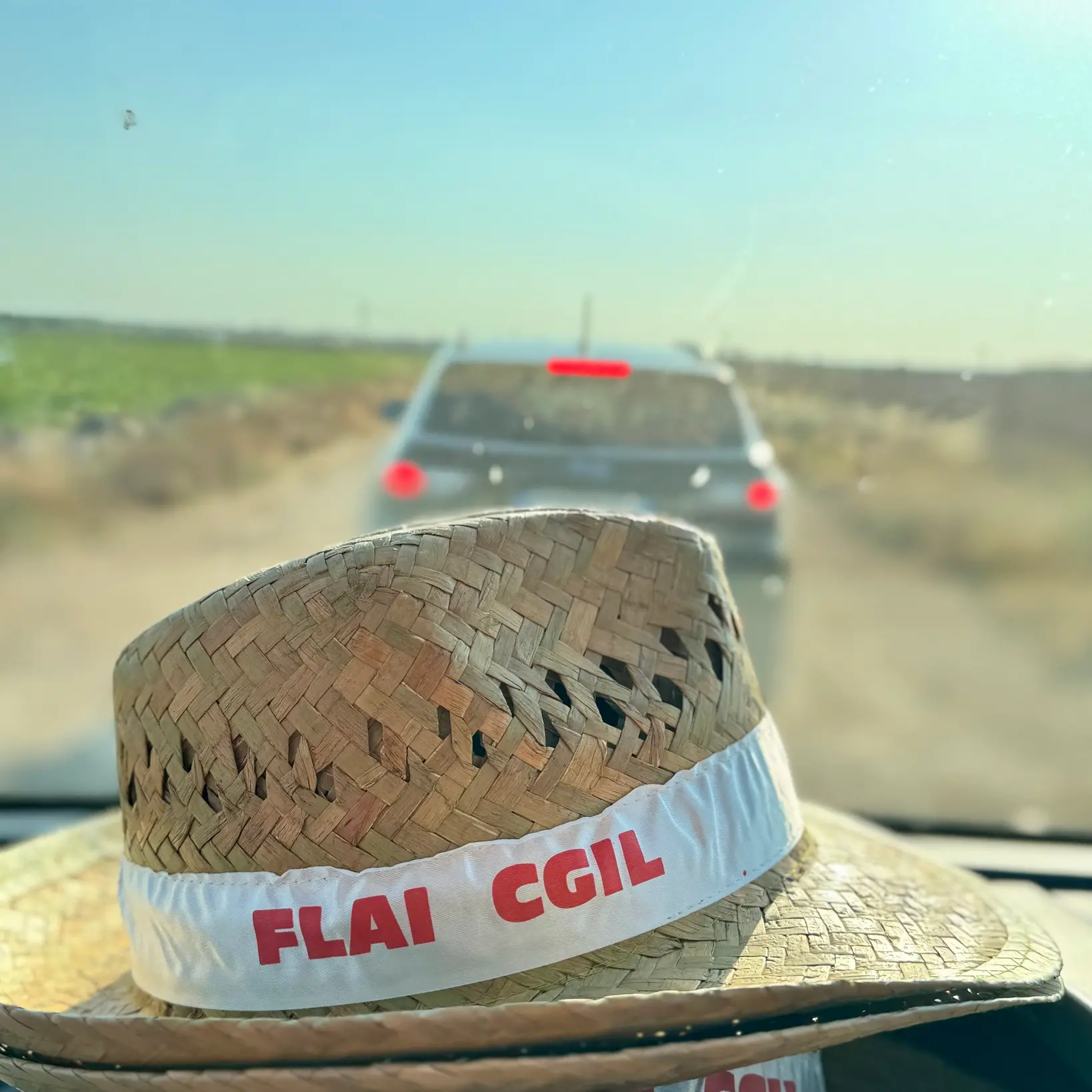 Al via le Brigate del Lavoro della Flai Cgil nei vigneti della marca trevigiana