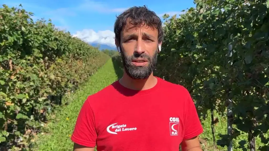 brigate lavoro flai treviso mattei
