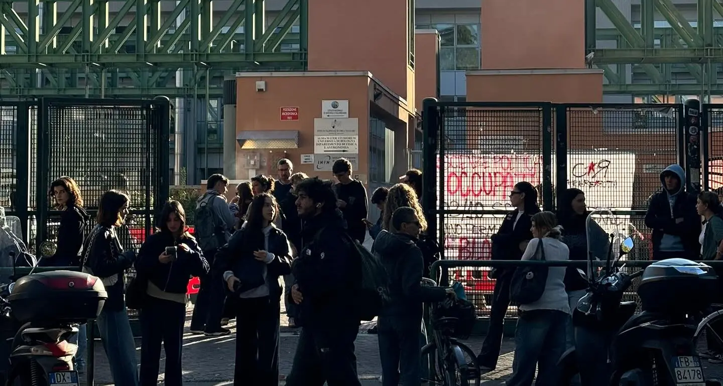 Università precaria, 20 gennaio iniziativa Flc a Napoli