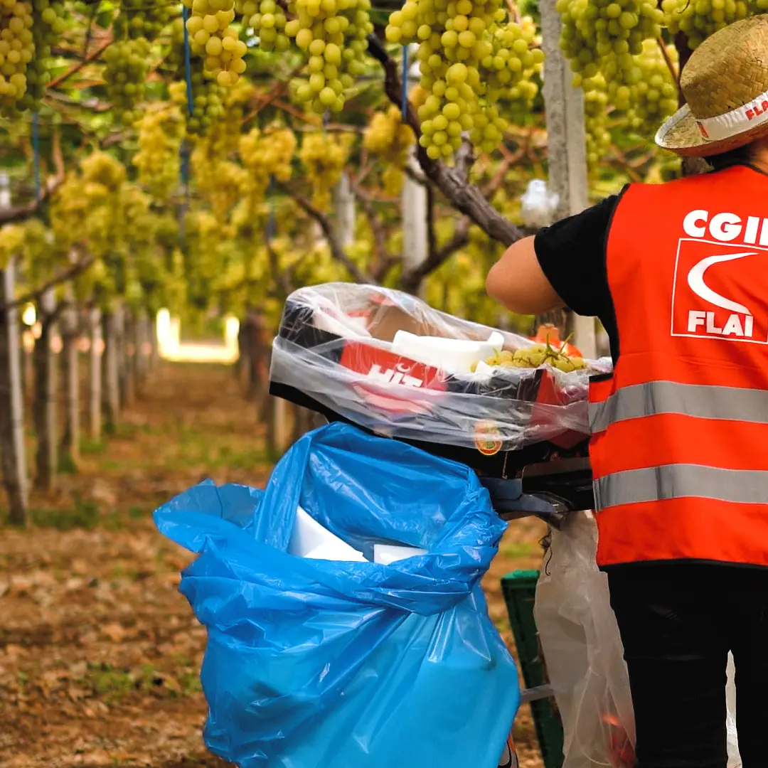 Una rete per proteggere le persone