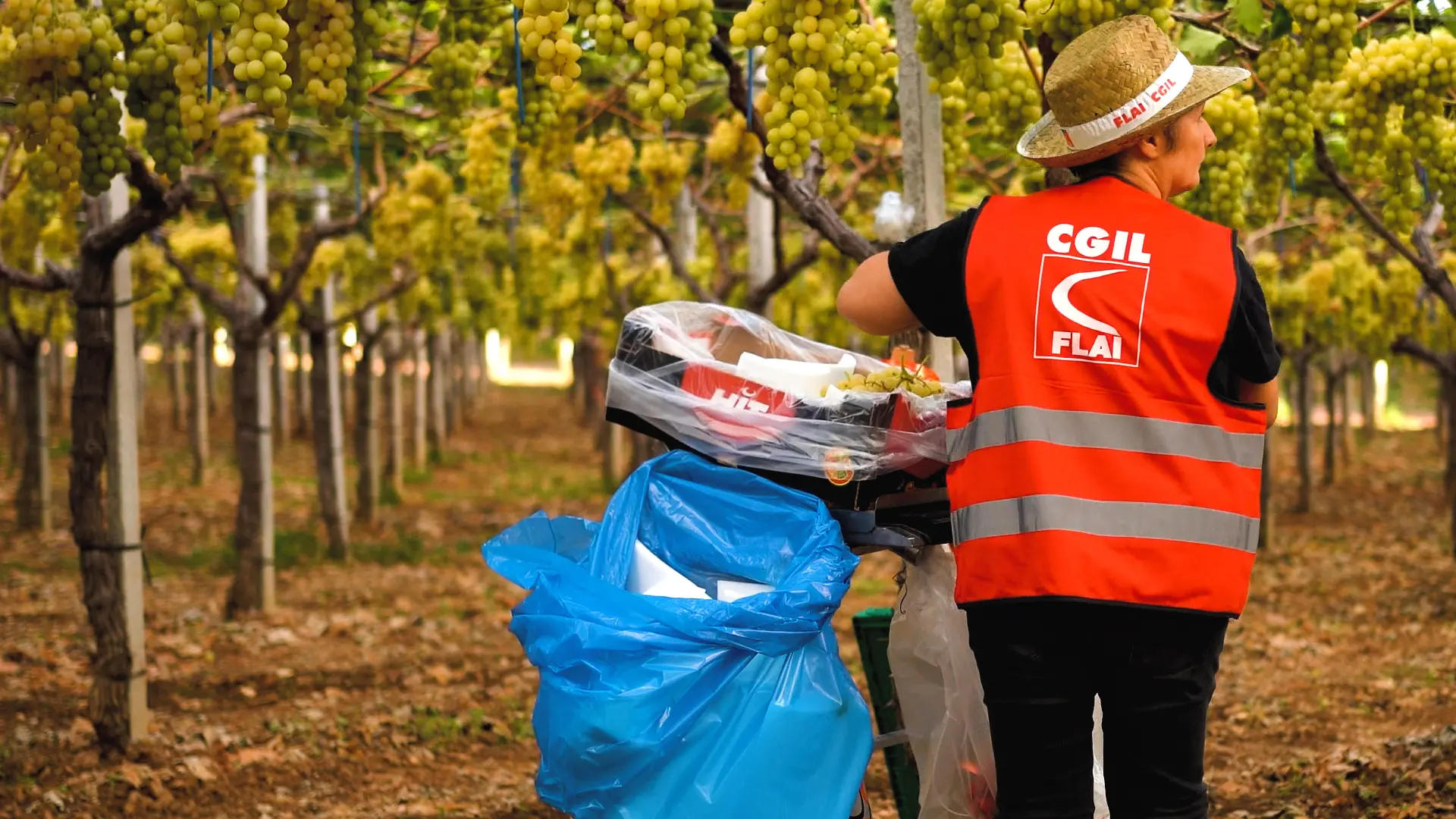 Brigate del lavoro Flai Cgil a Bari con Mediterranea