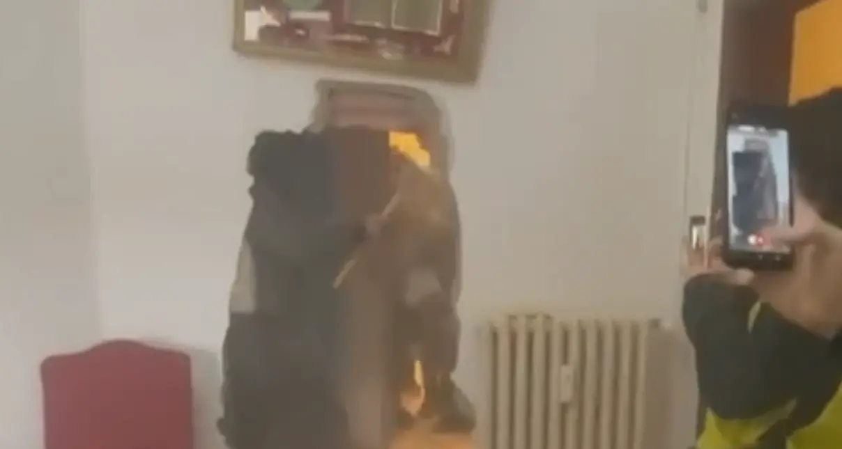Sfratto con mazze a Bologna, Sunia: “Diritto alla casa calpestato”