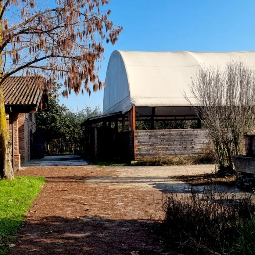 Capire il sistema della mafia per combatterla