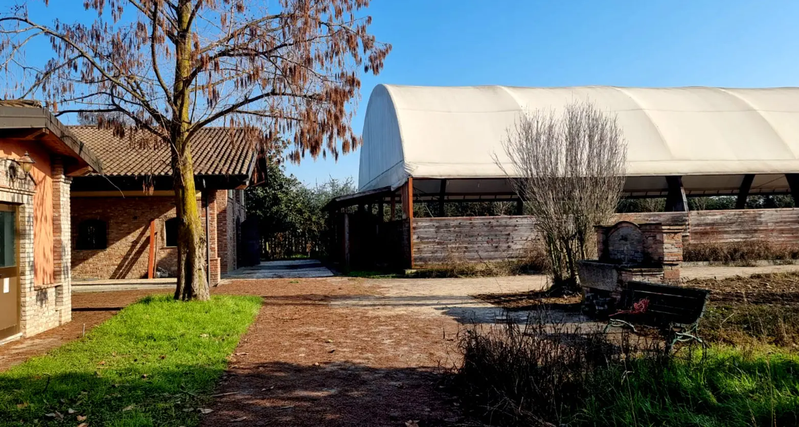 Capire il sistema della mafia per combatterla