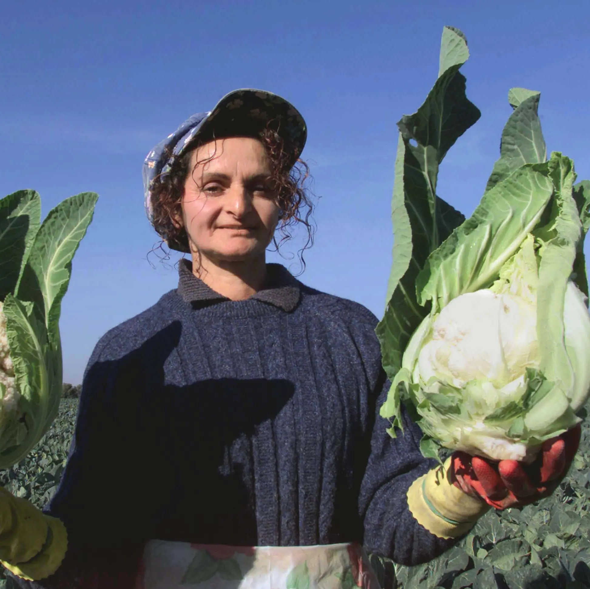 Donne in agricoltura, lavoratrici diseguali