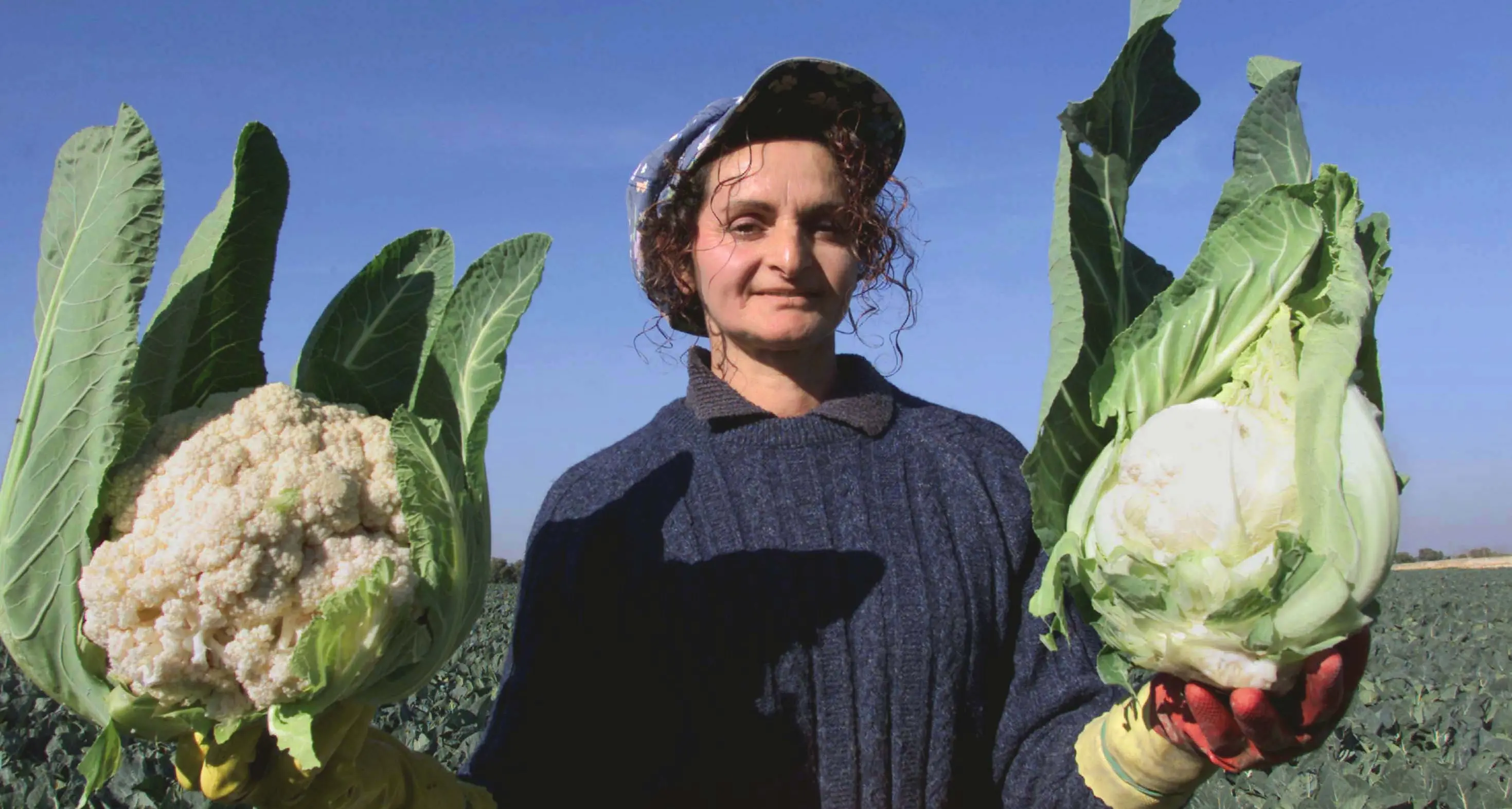 Donne in agricoltura, lavoratrici diseguali