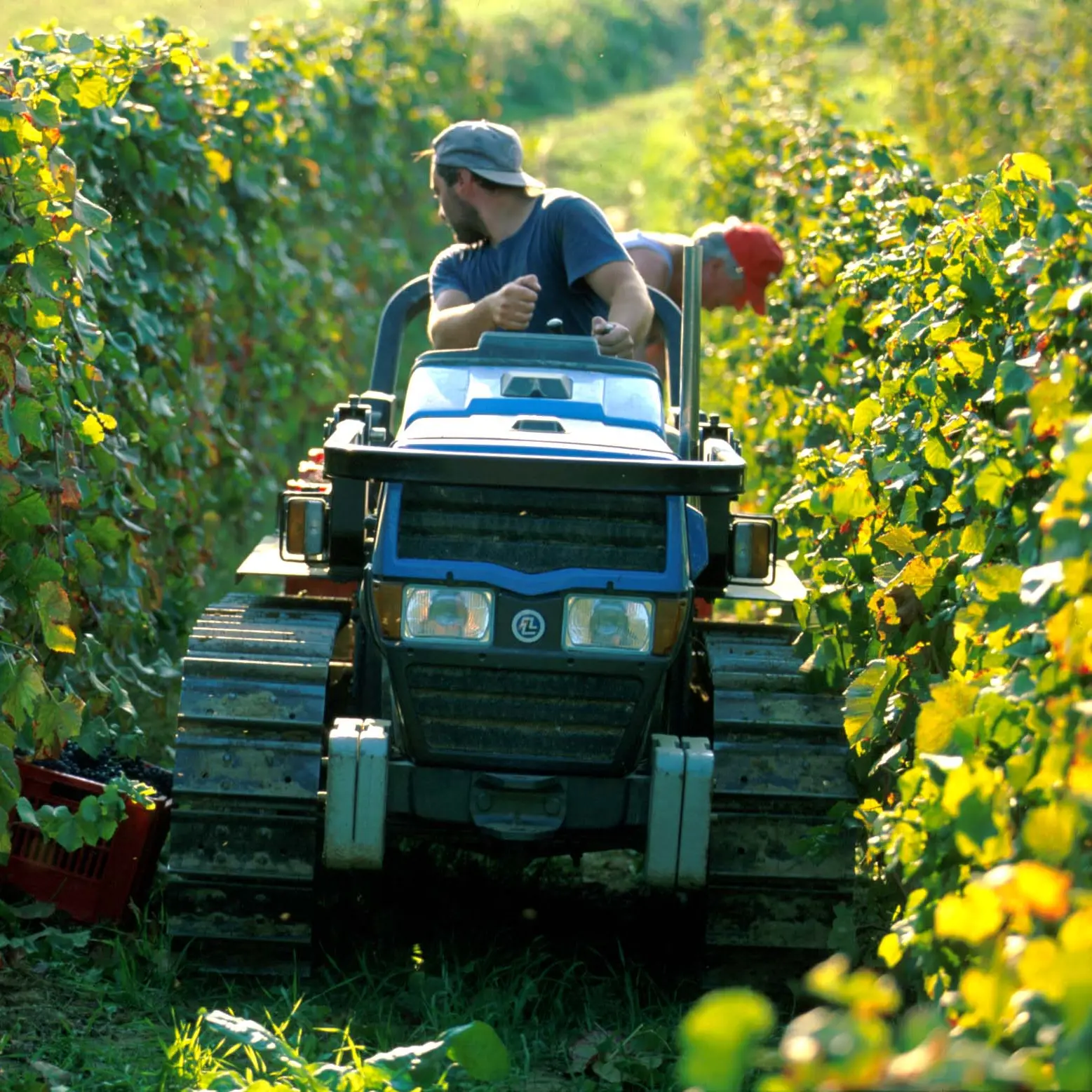 Cassa integrazione agricola, modifica inaccettabile