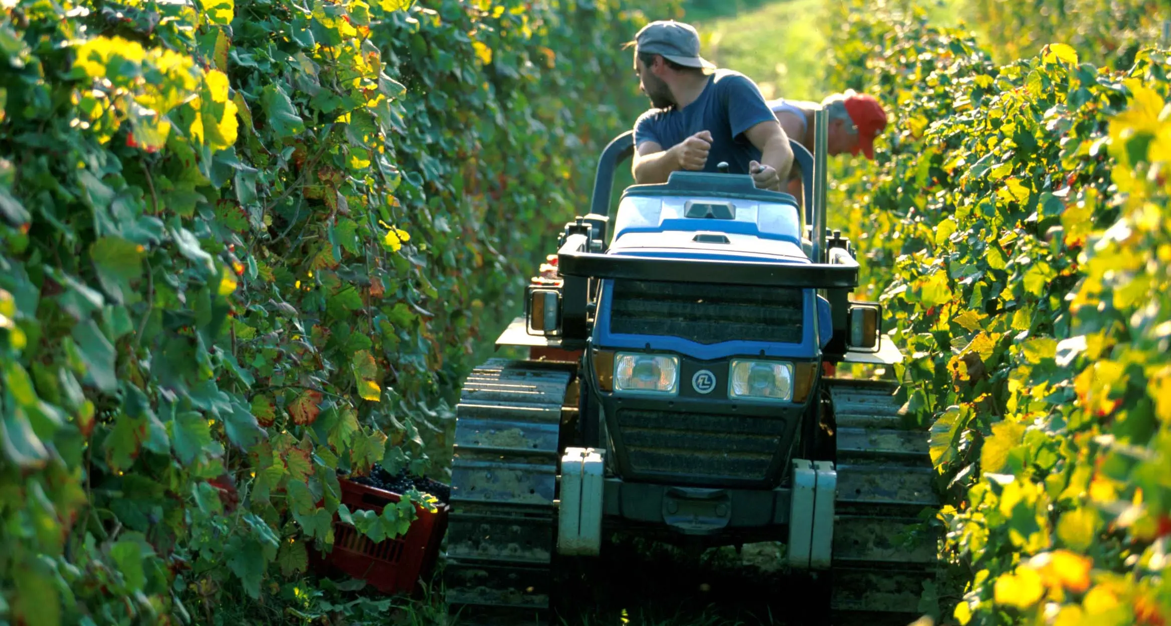 Cassa integrazione agricola, modifica inaccettabile